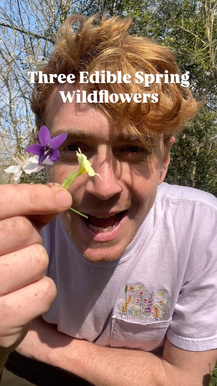 Have you tried any of these?
Follow @mindinnature for more foraging goodness.
Primroses, or Prima Roses - the first roses of Spring! You can also make delish wine from these.
Cherry blossoms - try these decorating a cake! Don’t have too many of these as they do contain a small amount of a chemical that produces cyanide when metabolised, but you’d have to eat a lot of them raw for this to be an issue
Sweet violets - try crystallising or candying them to bring out their sweetness.
These are just three of the huge variety of edible spring flowers popping up right now. Please forage sustainably - this means only picking where they are in abundance, and only taking a small amount of what you find.
#foraging #springflowers #wildflowers #primroses #cherryblossomseason #wildfood