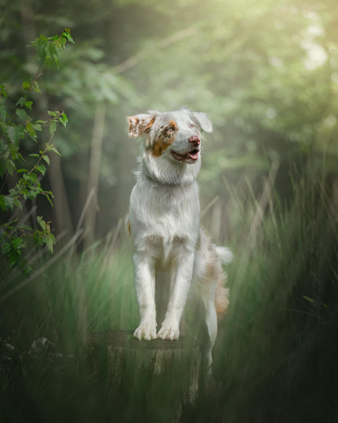 LOCATIES GEZOCHT❗️
Shoots doe ik voornamelijk op vaste locaties. Daarom ben ik op zoek naar nieuwe locaties die ik eventueel kan toevoegen in het aanbod.
In welke natuurgebieden kom jij graag? Ik ben benieuwd! ☀️