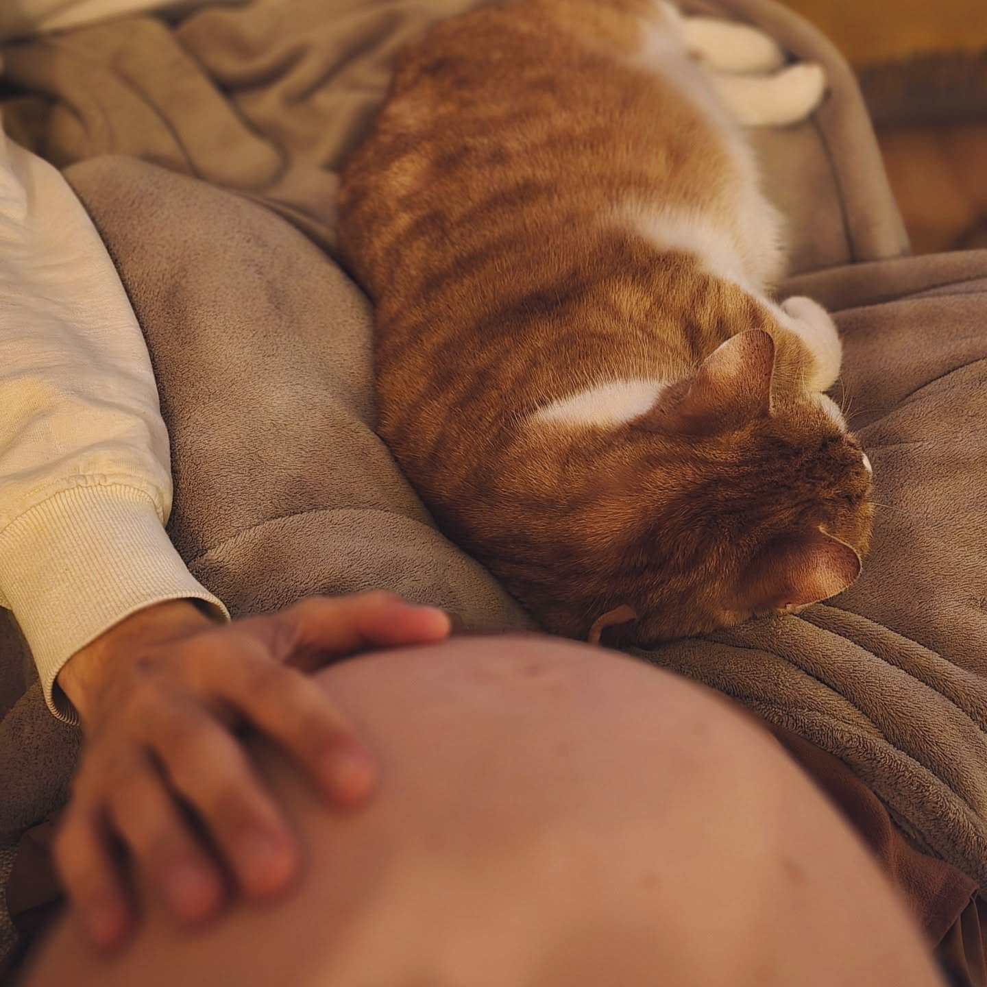 Zwanger zijn ❤️
Het is eerlijk gezegd één van de uitdagenste innerlijke reizen die ik tot nu toe heb gemaakt. Mijn Ayahuasca reizen of reizen met de grootvader 🌵 waren ook, altijd weer, pittig, intens en prachtig maar zwanger zijn... dat is van een ander niveau.
Een aards niveau. Super aards. Vanaf het moment dat ik zwanger was leken al mijn spirituele gaves naar de kleine te gaan, ik werd met de voeten de aarde in geduwd en mijn energetische krachten voor heling leken onbereikbaar. Ik voelde me uit verbinding gaan met dat wat ik zo goed kende en wat mij - mij - maakt(e).
Het eerste trimester; was fysiek en emotioneel vermoeiend, mezelf van de bank afsleurend, schuivend door het huis, niets kunnen eten tot aan dansend op country muziek door de keuken bewegen om de onrustige benen aandacht te geven.
Het tweede trimester; was fysiek veel beter te doen, en waar ik dacht dat ik geen last had van gierende hormonen bleek dat toch niet helemaal het waarl te zijn 🤪.. een emotionele rollercoaster, ook in relatie met mijn partner (hij heeft stiekem ook "last" van een zwangerschapsbrein). Samen maken we een diepe reis naar het aanstaande ouderschap. Bewust zwanger zijn is niet niks.
Het derde trimester; sinds ik in de rust heb kunnen zakken geniet ik enorm van de kleine die lekker rond danst in mijn buik. Ik zing en praat tegen haar, maak muziek. Mentaal is het zwaar, of ergens licht... zwangerschapsdementie is blijkbaar echt een ding. Nadenken en keuzes maken is nog nooit zo moeilijk geweest... 🙈🤭 dat vind mijn ego wel lastig want die wil zoveel.
Alles aan deze zwangerschap nodigt uit om te verstillen, te zakken en 'hier' zijn, met de voeten in de aarde, in mijn lijf, met haar 👼. En ja, ik realiseer me weer hoe snel de tijd gaat en dat het nu juist om de zwangerschap en mijn kleintje mag gaan. De rest komt later wel weer, een keer, ergens, ooit, geen idee wanneer...
Dit is misschien wel de meest aardse ervaring die een vrouw ooit kan ervaren en daar voel ik me dankbaar voor dat ik dat mag ervaren.
🌸🤍
Ps. Mijn kat Milan vind het heerlijk om lekker in de buurt te liggen van mijn buik en kleine, ben zo benieuwd hoe hij straks op haar reageert!