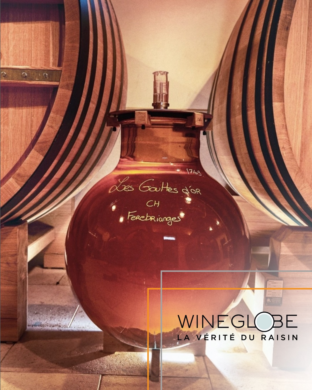 Supplier Spotlight: @wine.globe
Crafted in Bordeaux by the Paetzold family, the Wineglobe is a breakthrough in high-end winemaking. These single-piece borosilicate glass vessels (115L & 220L) offer total neutrality â delivering pure, terroir-driven wines without compromise.
Since 2015, Wineglobes have earned their place in some of the worldâs most prestigious cellars, used for fermenting and aging whites, rosĂŠs, and reds alike.
Why winemakers choose Wineglobe:
âď¸ Pure, unadulterated expression
âď¸ Flawless hygiene & easy cleaning
âď¸ Reduced SOâ usage
âď¸ No wine loss or topping
âď¸ No material interaction â just clarity and control
Hear it from the producers who know it best:
⢠Louis Dagueneau, Domaine Didier Dagueneau (Loire Valley)
⢠StĂŠphane Derenoncourt, Domaine de lâA (CĂ´tes de Bordeaux)
⢠Domaine Arnaud Ente (Meursault, Burgundy) - @arnaudente
⢠FrÊdÊric Savart, Champagne Savart (Champagne) - @champagnesavart
⢠David Suire, Château Laroque (Saint-Ămilion)
⢠Xavier Vignon, Xavier Vins (Châteauneuf-du-Pape)
⢠Christophe Perrot-Minot, Domaine Perrot-Minot (Morey-Saint-Denis, Burgundy)
đŹ Want to hear what they have to say about working with Wineglobe?
Read the full testimonials on our blog â now live on our website, link in bio.