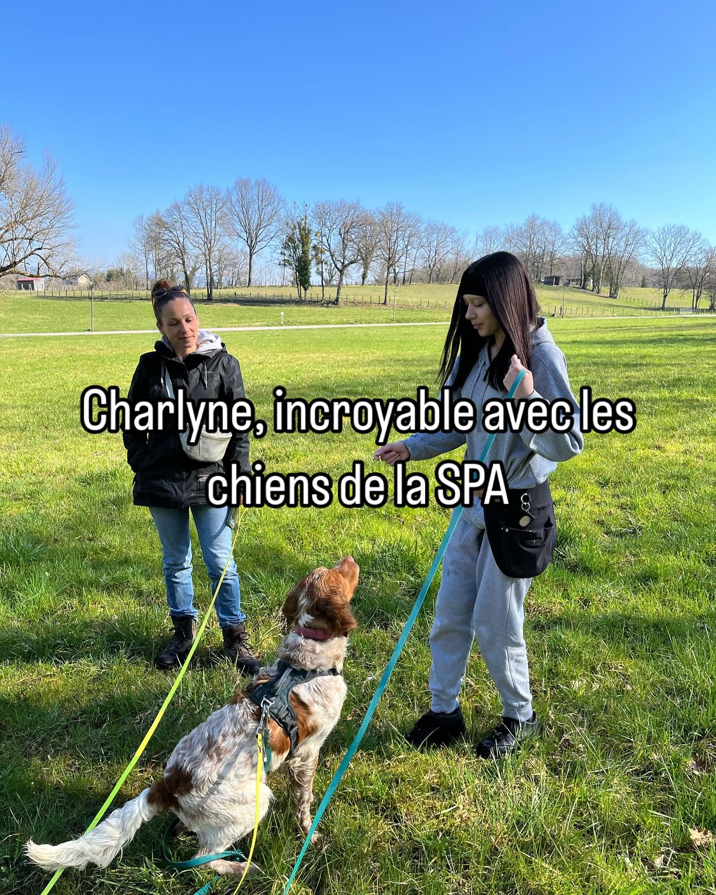 Et voici Basile, un super Loulou très jovial, dans le jeux, trop content d’être dans le lien ! Il a adoré fureter partout tout comme il a adoré jouer avec nous 😊 à l’adoption ! Voici un peu plus de contexte : Charlyne est en fin de programme avec Sandra; c’est une jeune fille remarquable qui n’osait plus sortir de chez elle. La médiation animale a été un tournant dans sa vie. Charlyne a été très à l’écoute des chiens que nous avons sortis. Les photos et clips vidéos sont des instants de quelques minutes avec les chiens, mais le plus gros ne se voit pas. Basile et Cadbury sont deux chiens très différents. Chacun a eu besoin de temps pour que les chiens s’intéressent à elle. Ils ont d’abord eu un temps de balade, puis de reniflage, et enfin nous avons récompensé chacunes des étapes qui leur a permis de faire ces petits jeux. Chaque choix étaient récompensés (par les délicieuses récompenses cuisinées par Charlyne) et cette dernière a été très attentive à leur bien-être. Alors pourquoi faire de l’éducation pendant la balade ? Et bien pour pleins de raisons : prendre confiance en l’humain, prendre confiance en eux-mêmes (pour Cadbury), leur montrer que le lien avec la personne au bout de laisse peut être sympa, et les aider dans des situations de stress (pour Cadbury de nouveau). Une juste alternance entre les laisser explorer, les connecter à nous, leur proposer du « cherche » et ou encore quelques jeux, sans attente, sans demande de réussite de leur part, et donc sans pression aucune. En rentrant en box, les chiens étaient plus détendus et calmes qu’en début de sortie, sans avoir fait des km pour les fatiguer, mais plutôt car il leur a été proposé des activités enrichissantes et simples pendant la sortie. Ces chiens ont besoin de vous, pour des sorties fun et sympas, détente et sans attente.