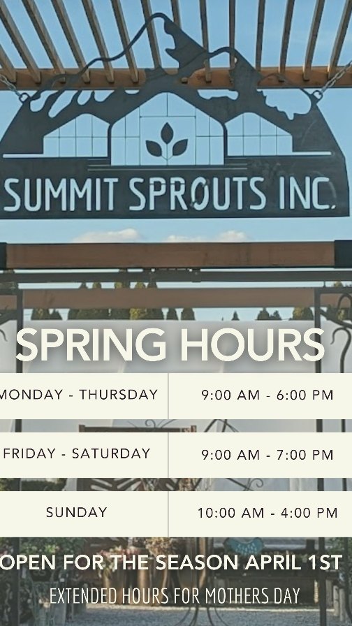 No foolin’ — we’re blooming! Open April 1st!
We’ve been planting the seeds for this all winter, and now Summit Sprouts is bursting to life!
We’ve grown thousands of plants right here in-store — from fresh veggies to blooming beauties — and they’re ready to leaf with you.
Pop in, dig around, and grow wild with us this spring!
We get new arrivals every week, so there’s always something fresh to sprout your interest!