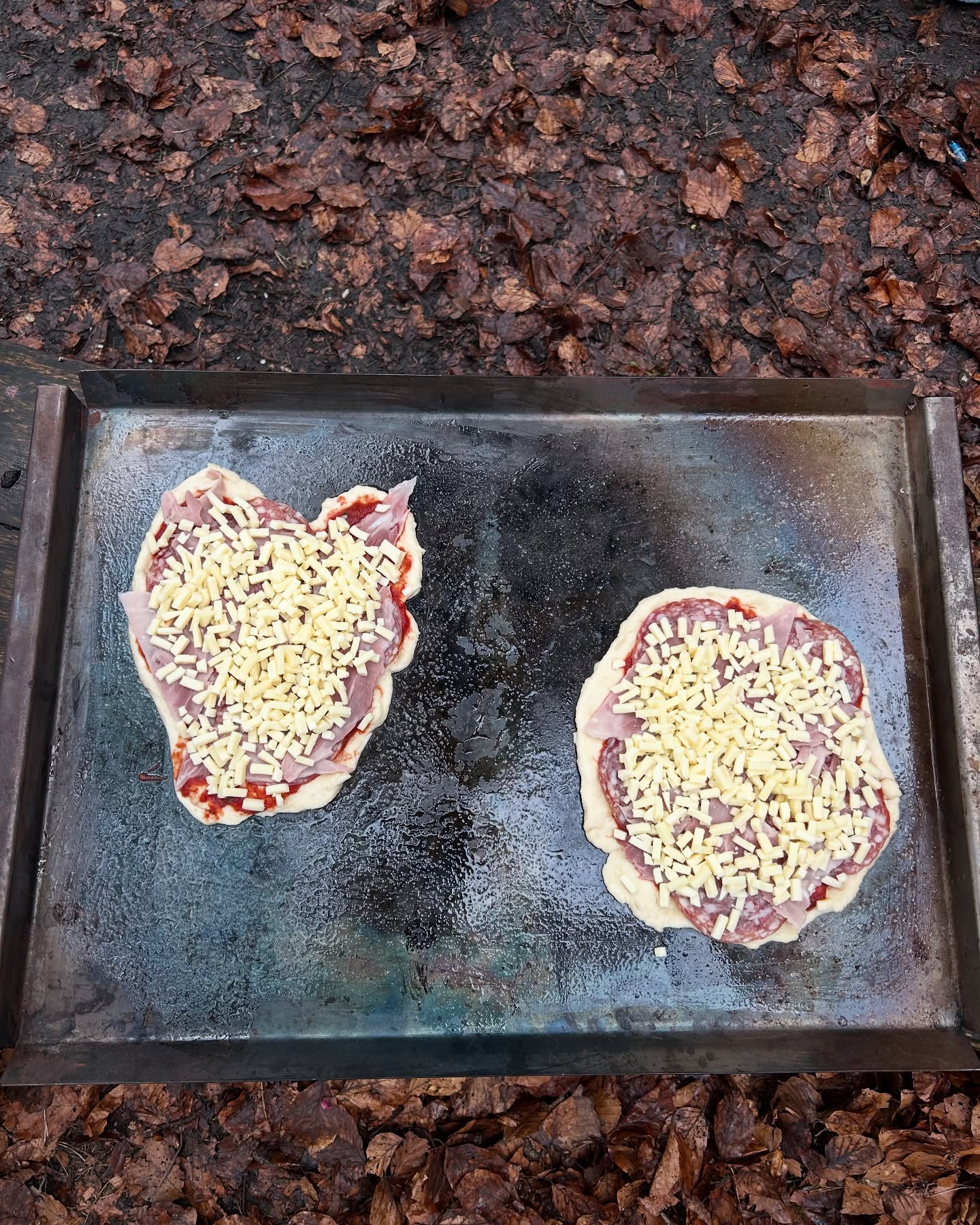 En chline Iiblick id Gruppestund vo hüt🍕🐣🌳🪵 #jubla #gruppenstunde