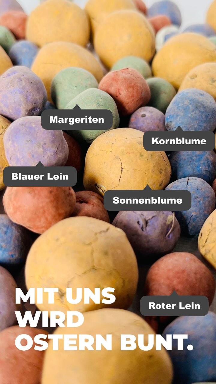 🌻🌺🌼
Bei uns steht jede Farbe für eine ganz besondere Blumensorte. Mit unserem Zwosterei-Set bekommst Du eine bunte Mischung und lässt dein Zuhause erblühen - passend zum Frühling🧡
#blumenmachenglücklich #blumen #ostern #osterdeko #geschenkidee #nachhaltig #regional #zwosterei #rething