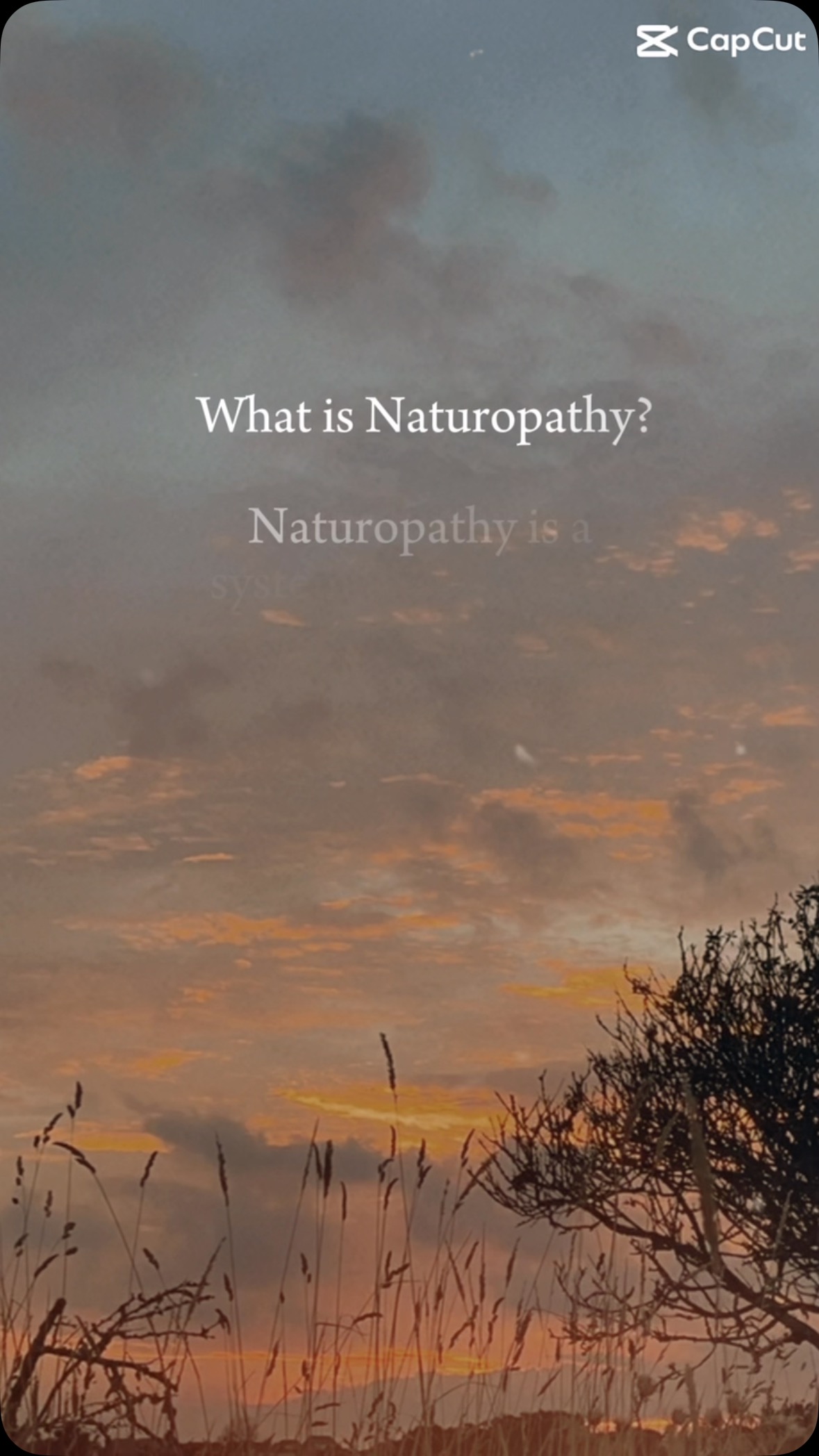 What is Naturopathy?
#herbalmedicine #herbalremedy #selfcare #naturalhealing #1111herbs #natural #naturopathy #