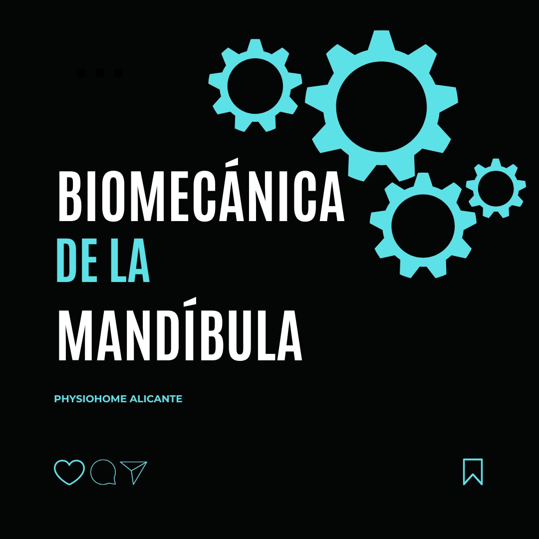 🦷 La biomecánica de la mandíbula: más que masticar 🍏
¿Sabías que la mandíbula no solo sirve para masticar? 🤔 Es una de las articulaciones más importantes del cuerpo y participa en funciones como:
✅ Masticar 🥪 (fundamental para una buena digestión).
✅ Hablar 🗣️ (nos permite articular sonidos y expresarnos).
✅ Respirar 😮💨 (su posición influye en la vía aérea).
✅ Deglutir 🥤 (ayuda a tragar correctamente los alimentos).
Cuando hay disfunciones en la articulación temporomandibular (ATM), pueden aparecer molestias como dolor de cabeza, chasquidos al abrir la boca o tensión en el cuello. ¡Aquí es donde la fisioterapia puede ayudarte! 💆♂️💆♀️
Con técnicas manuales, ejercicios y consejos posturales, un fisioterapeuta puede mejorar la movilidad de tu mandíbula y aliviar dolores.
#fisioterapia #saludybienestar #dolormandibular #fisioterapiaalicante #atm #fisioterapiadomiciliar