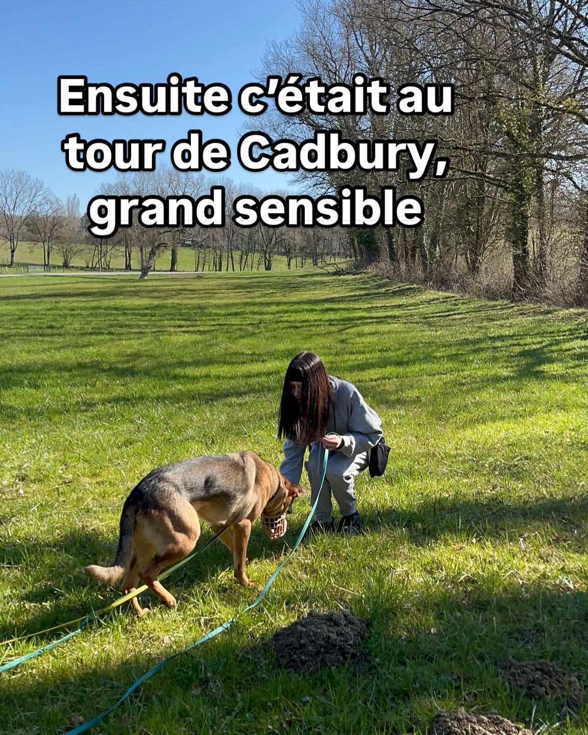 Une petite virée à la spa pour découvrir deux chiens très différents, tous les deux à l’adoption. Ici Cadbury, réservé, plutôt sensible, craintif, qui au fur et à mesure de la balade s’est mis en confiance avec nous. C’était chouette à voir. Charlyne a proposé quelques jeux pour créer lien et confiance, de la découverte du lieu, du flair, etc. Ici vous avez un aperçu 😊 un chien top ! Voici un peu plus de contexte : Charlyne est en fin de programme avec Sandra; c’est une jeune fille remarquable qui n’osait plus sortir de chez elle. La médiation animale a été un tournant dans sa vie. Charlyne a été très à l’écoute des chiens que nous avons sortis. Les photos et clips vidéos sont des instants de quelques minutes avec les chiens, mais le plus gros ne se voit pas. Basile et Cadbury sont deux chiens très différents. Chacun a eu besoin de temps pour que les chiens s’intéressent à elle. Ils ont d’abord eu un temps de balade, puis de reniflage, et enfin nous avons récompensé chacunes des étapes qui leur a permis de faire ces petits jeux. Chaque choix étaient récompensés (par les délicieuses récompenses cuisinées par Charlyne) et cette dernière a été très attentive à leur bien-être. Alors pourquoi faire de l’éducation pendant la balade ? Et bien pour pleins de raisons : prendre confiance en l’humain, prendre confiance en eux-mêmes (pour Cadbury), leur montrer que le lien avec la personne au bout de laisse peut être sympa, et les aider dans des situations de stress (pour Cadbury de nouveau). Une juste alternance entre les laisser explorer, les connecter à nous, leur proposer du « cherche » et ou encore quelques jeux, sans attente, sans demande de réussite de leur part, et donc sans pression aucune. En rentrant en box, les chiens étaient plus détendus et calmes qu’en début de sortie, sans avoir fait des km pour les fatiguer, mais plutôt car il leur a été proposé des activités enrichissantes et simples pendant la sortie. Ces chiens ont besoin de vous, pour des sorties fun et sympas, détente et sans attente.