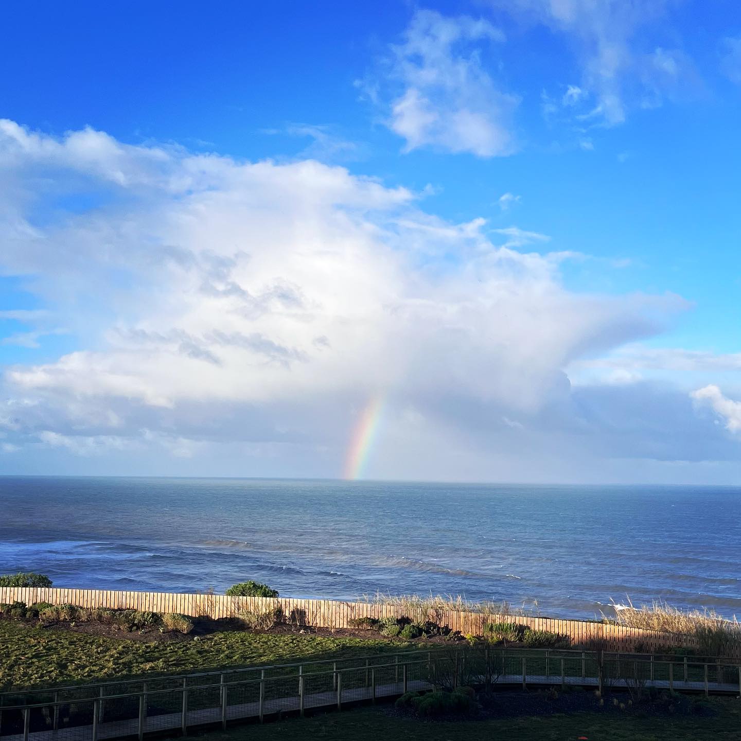 ✨« Puisque la beauté est rencontre, toujours inattendue, toujours inespérée, seul le regard attentif peut lui conférer étonnement, émerveillement, émotion, jamais identiques … »
- François Cheng
.
.
#yoga #yogalisboa #yogalisbon #yogalisbonne #mantra #beauté #conscience #presence #présence