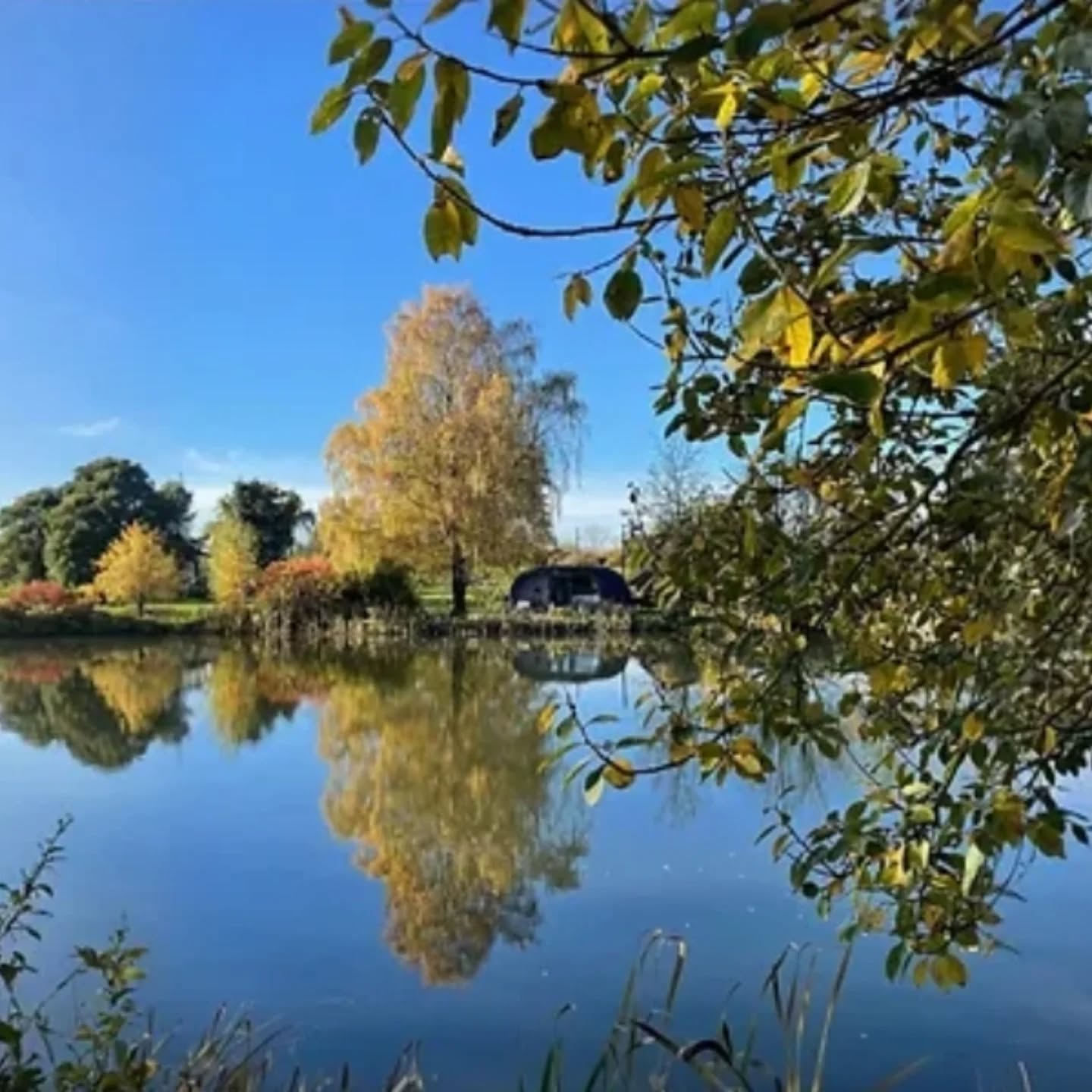 Immerse yourself in nature with a refreshing wild swim, warm by the glow of the fire, flow with a relaxing Tai Chi Qigong session and enjoy a tranquil Japanese tea ceremony under the glow of the sunset. A perfect evening escape in a beautiful exclusive natural setting.
Spaces are limited to ensure a truly intimate experience. Dates available monthly April - September
Book here. https://www.purplepcoaching.co.uk/event-list
#taichi #wildswimming #nature #wellbeing