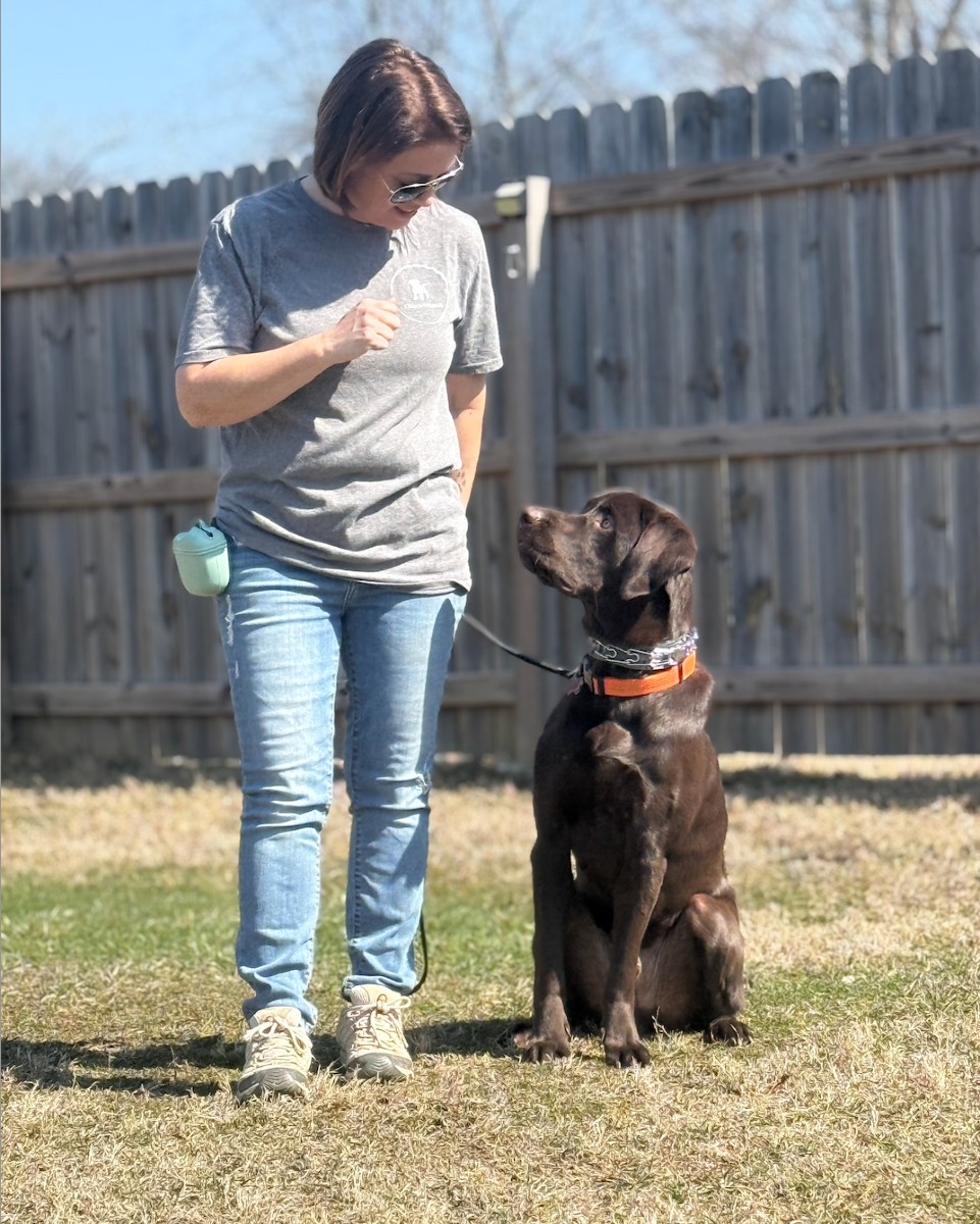 If you’ve been thinking about enrolling your pup in our Board & Train program, now’s the time to lock in your spot! We’re booking up quickly, and once we’re full—we’re full.
Let’s get you on the schedule now so we can find a time that works for you! 📩 Send a message to reserve your spot today!