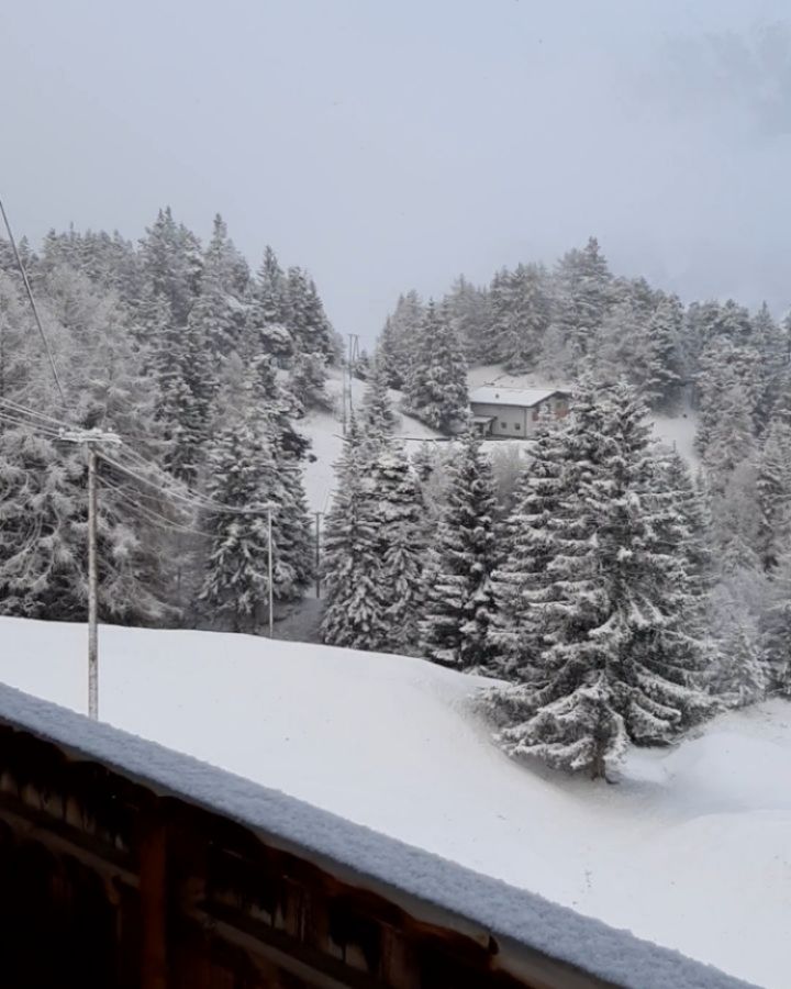 31. März be like ❄☃️🤍
01. April be like 🌞🌸🧡
.
.
.
Frühling in den Bergen 👐
#Spring #aprilmachtwaserwill #frühlingserwachen #Schneegestöber #frühlingindenbergen #bergpanorama #mountainlovers #visittirol #naudersamreschenpass #naudersunddu #urlaubintirol #urlaubambauernhof