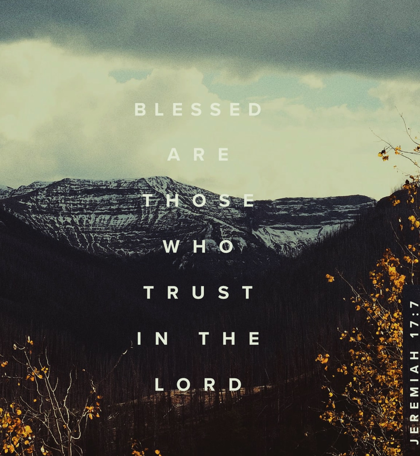 Jeremiah 17:7 Blessed is the man who trusts in the Lord, whose confidence indeed is the Lord.