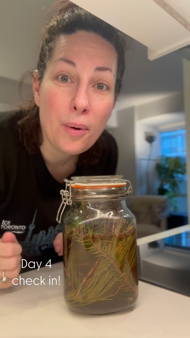 Fermentation Day 4:
It was consistently bubbling. The flavours were all mingling super nicely. There was still a lot of sugar left to ferment but I didn’t want it to fully ferment out so I put it in the fridge to slow it down.
I will now make a base flavour for a soda and add some of this yeast starter to get it fermenting. This will help with carbonation and add complexity of flavour.
I will keep adding foraged items to this wild yeast starter throughout the season and the flavour will evolve. It’s very exciting.
#fermentation #wildfood #foragedfood #wildsoda