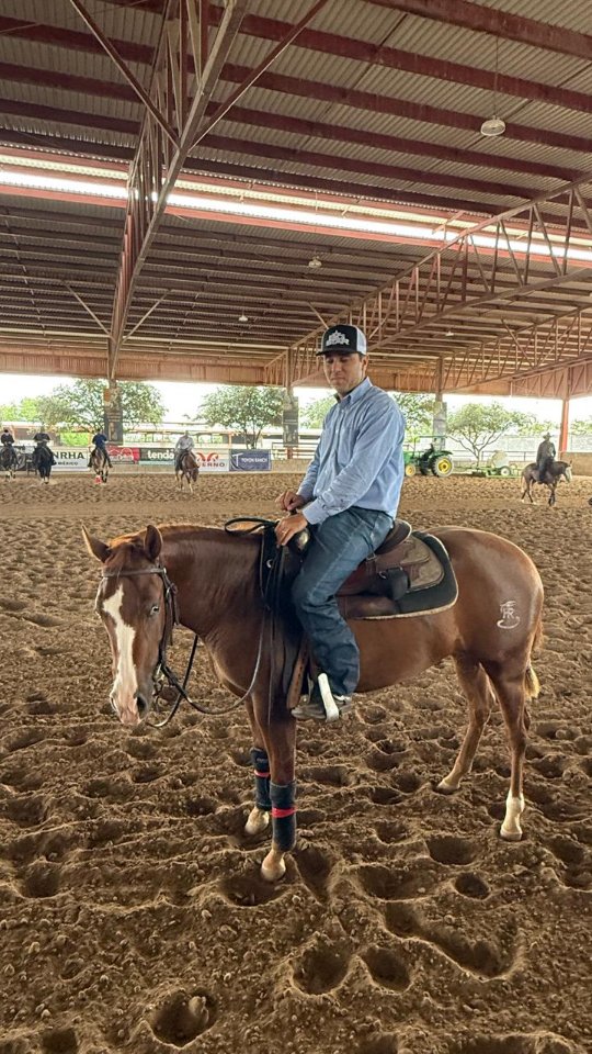 Gilberto Leal sent us this video of @fsreining riding 2-year-old mare SHR Guns Out. We're always excited to see where our foals end up and to see their progress. Thank you for sharing!
@centroecuestrecadereyta
Centro Ecuestre Cadereyta NL
#reining #reininglife #reininghorse #slideofyourlife