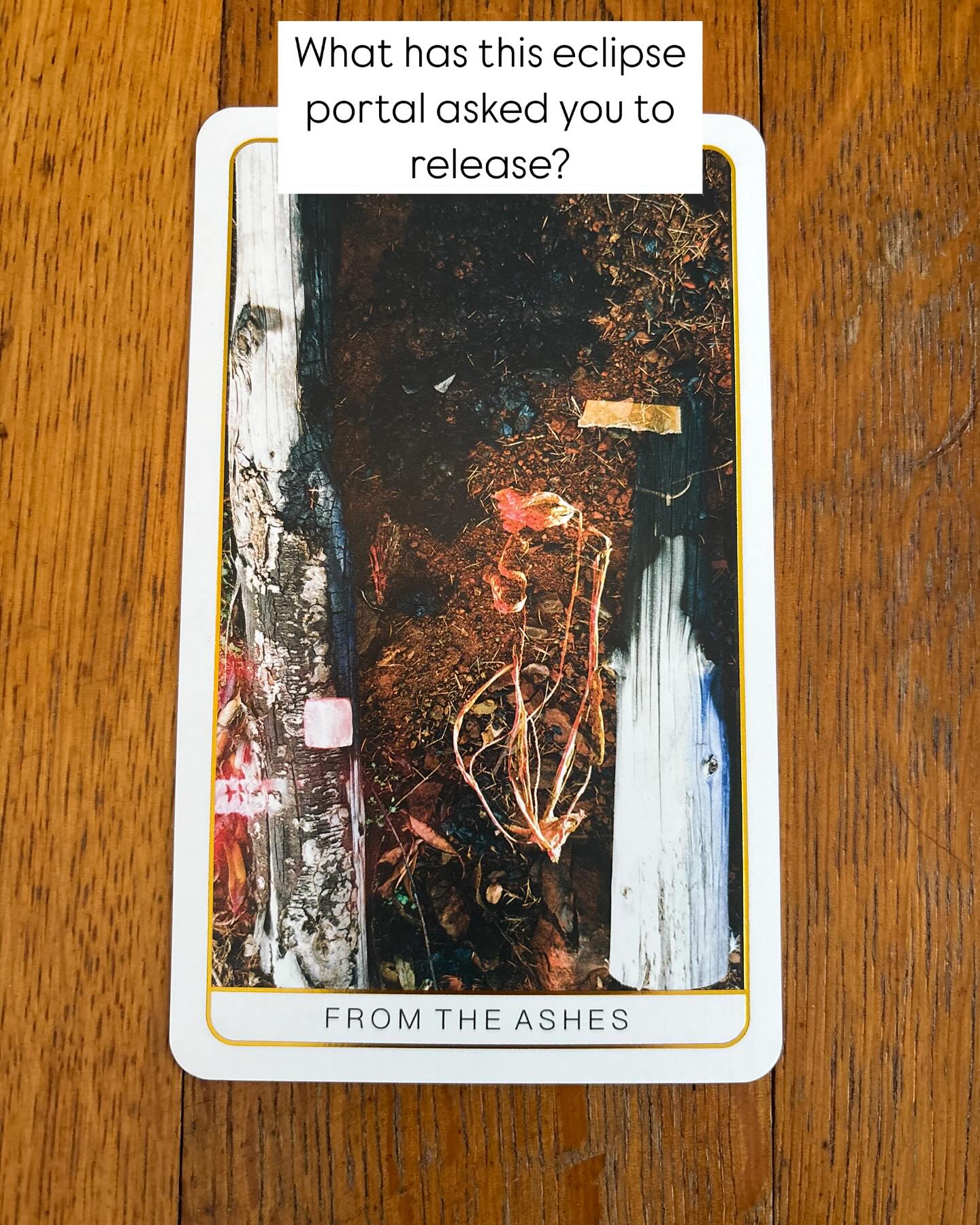 As we stand in the threshold between worlds, what has this two week portal between the Full and New moon eclipses asked you to release? What has been burnt to the ground and turned to dust? What was something you once loved and enjoyed that just doesn’t turn you on anymore?
“Acknowledging what you have shed and burned in the past helps to bring realization to who you are now and what you’ve achieved.”- from the cards description in the Death Doula Oracle
Likely, these past two weeks have feel stuck, waves of excitement and worry, giddiness and anxiety. Too busy or too bored. It’s a time to reflect, to journal, to meditate, to give yourself a hug and acknowledge how far you’ve come.
Your new feeling is coming. Hold tight. Spirit is working on the back end, bringing all the pieces together. Selling yourself short won’t work anymore. Blow off the dust and see yourself now, for who you truly are, and acknowledge what you’re capable of.
If you would like more insight if you’re going through a big shift, I offer in-home reiki and tarot sessions in Sonoma and Marin counties in California. I also offer readings over zoom; and more affordable pre-recorded readings for you 🫶🏻🌿🦌