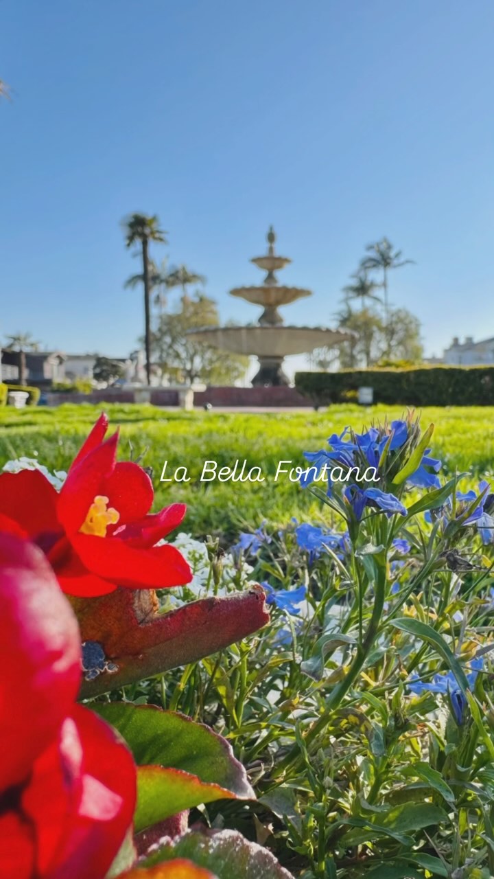 For over 50 years, the Naples Islands Garden Club has been dedicated to enhancing the beauty of our island—one hedge trim, weed pull & fountain refresh at a time.
La Bella Fontana is one of our signature spaces, lovingly maintained by our members under a right of entry from the City of Long Beach. We care for the pepper trees, manicure the boxwood hedges & help the Grand Italian Fountain live up to its name.
This month’s beautification effort came with a (fashionably late) Galentines celebration—February rain may have delayed us, but it didn’t dampen our spirits. Big thanks to our Bella Fontana co-chairs for the thoughtful treats & a champagne toast that proved garden gloves pair beautifully with bubbles.
#GardenGlovesAndGalentines #IslandBeautification
#GardenClubs