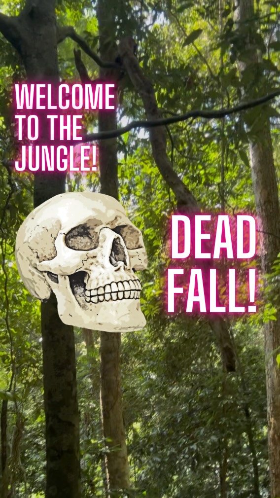 Don’t forget to look up! The jungle is an incredibly dynamic environment and one major hazard is dead trees/branches falling down from above. Choose your routes and camping spots wisely
@secret.compass @worldextrememedicine #junglesurvival #expedition #remotemedicine