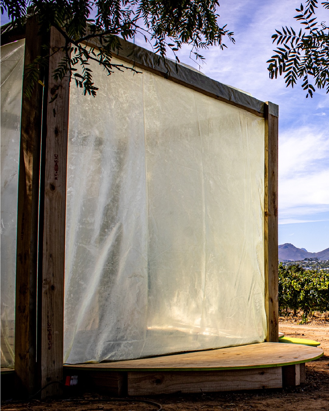 Title: Chumba
Artist: Kasanganti Godelive
Exhibition: Stellenbosch Triennale 2025 On the Cusp
“I pursue such research interests on the Basenji Dog of DR Congo as a body that positions itself, above all, as “autonomous” and non-relational. I first encountered the dog between 2019 and 2020, and it prompted me to look into the implications of speculative image reproduction—if an archival photograph can become an image, what else could it be? The archival image as an object opens a dialectical phase, moving from being a picture that is completed by a viewer to afford multiple reiterations for itself.”
View Godelive’s installation at Oude Libertas until the 30th of April or for the full artist statement, visit https://www.stellenboschtriennale.com/artworks/chumba
©️Images by @jumpinthegun_creative
#ST25 #ST2025 #StellenboschTriennale #StellenboschTriennale2025 #KasangantiGodelive #ArtInstallation