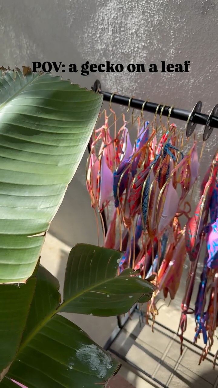 🤷🏼♀️ I don’t even know what this reel is