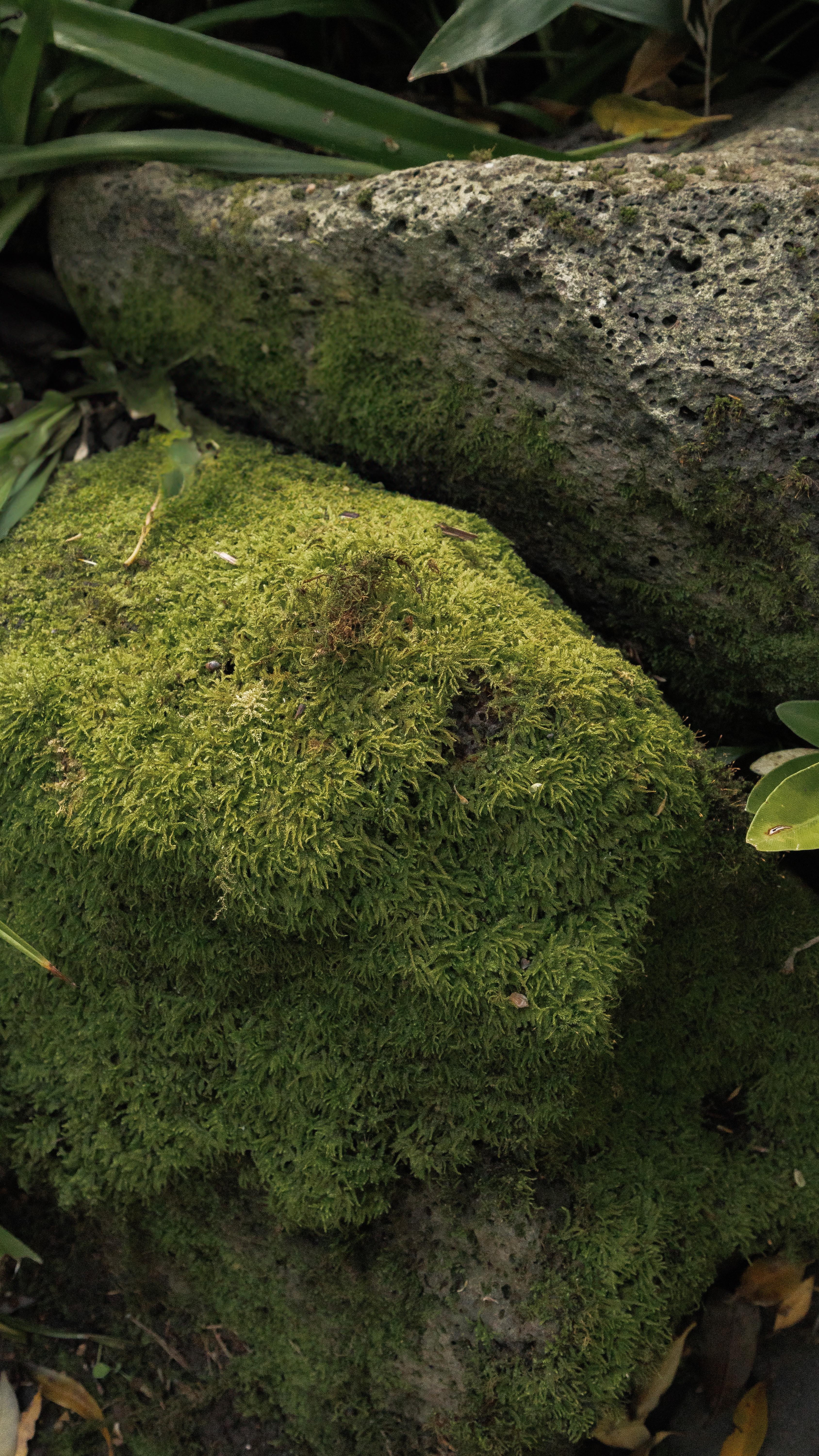 Glowing skin, no stress!
Matiki fits right into your routine, lightweight, calming, and packed with skin-loving goodness.
Just a few drops for hydration, collagen support, and that healthy, effortless glow. đ