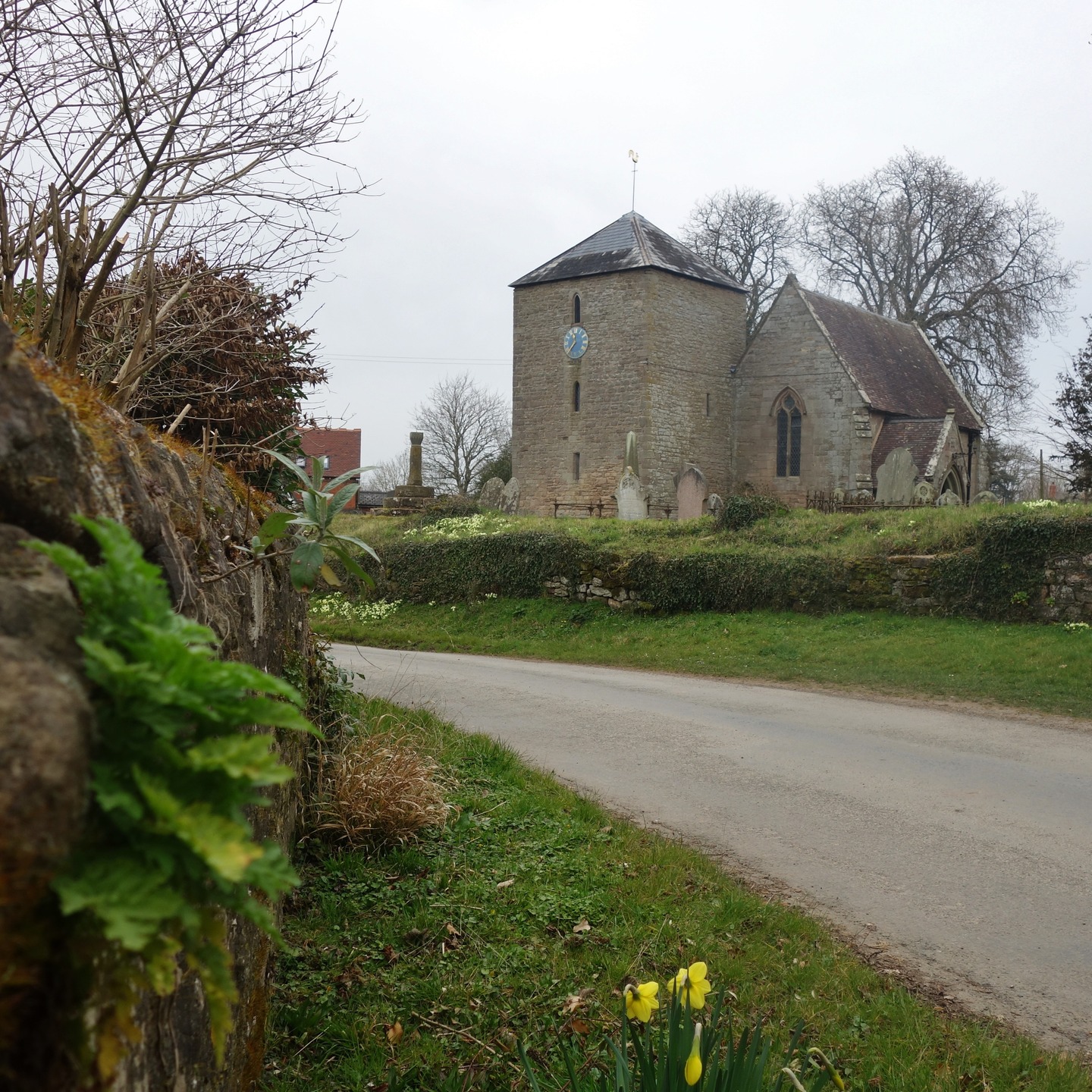 A super rural ride out towards east Herefordshire. I was unearthing some old gems on this one. I love to see the old farming let alone the ancient settlements. As a bonus, I came away with a newly killed Pheasant on the road, which I promptly took home and cooked. These are the gifts - it's in the universal restaurant. There is a recently uploaded video on the Wye Explorer YouTube channel if interested. Peace out. #cycleride #countrycycle #countrylife❤️ #outdoortones #herefordshire #herefordshirelife