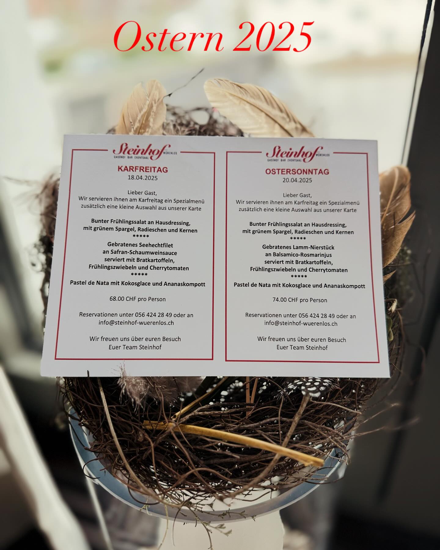 Wir freuen uns auf euch🐇
Euer Team Steinhof❤️