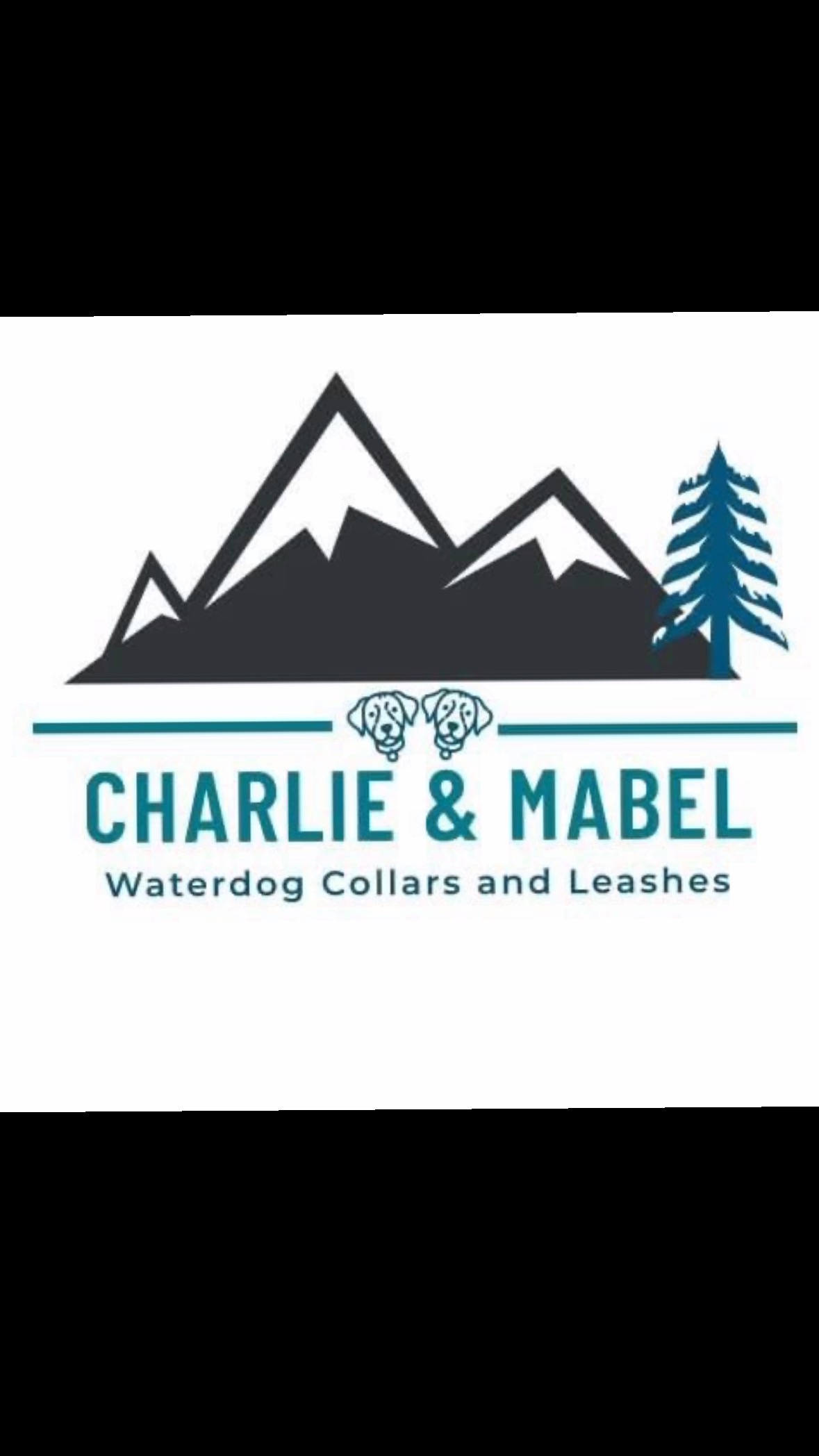 #buylocalbc #yvrdogsofinstagram #langleybc #yvrdogs #biothane #bcdogs
custom set