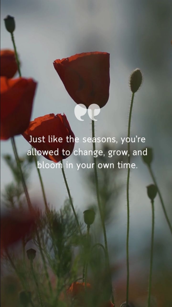 Growth is not rushed; it’s nurtured. 🌿 #BloomAtYourPace