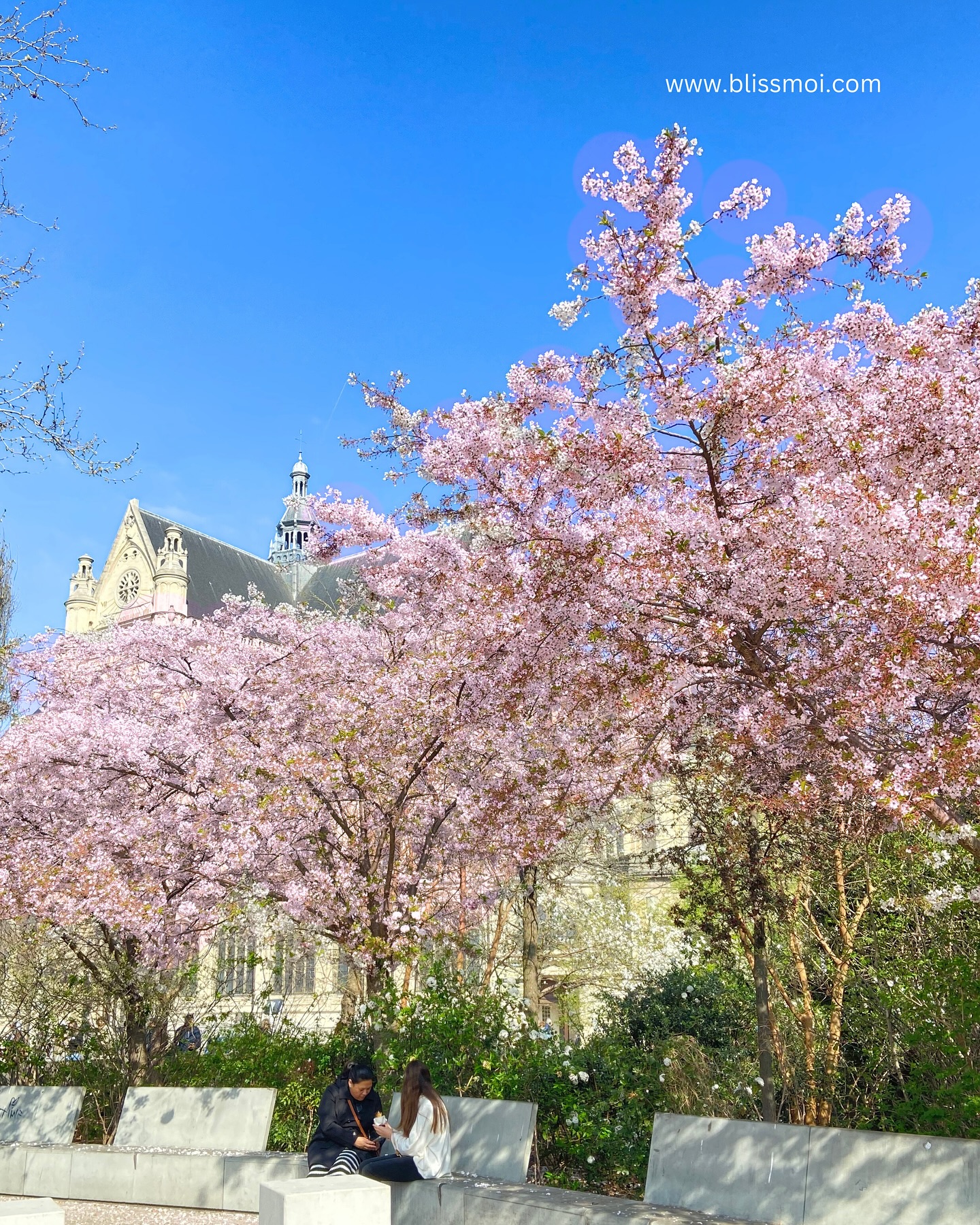 You don’t need to fly to Paris or Japan to smell cherry blossoms in bloom.
We’ve brought the scent to you — soft, floral, and full of spring’s quiet joy. 🌸
These handmade scented melts are crafted in Normandy, France, and made to turn everyday moments into something a little more magical.
#Blissmoi #RitualsOfCare #CherryBlossom