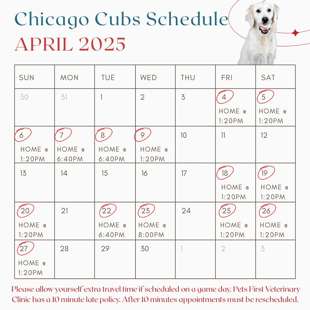 Baseball season is once again upon us ⚾️
Traffic WILL BE heavier than normal on game days. Please give yourself enough time to arrive and find parking before your scheduled appointment. If you’ll be late please call us at 773-904-8724 to notify us or reschedule. Thank you!❤️💙