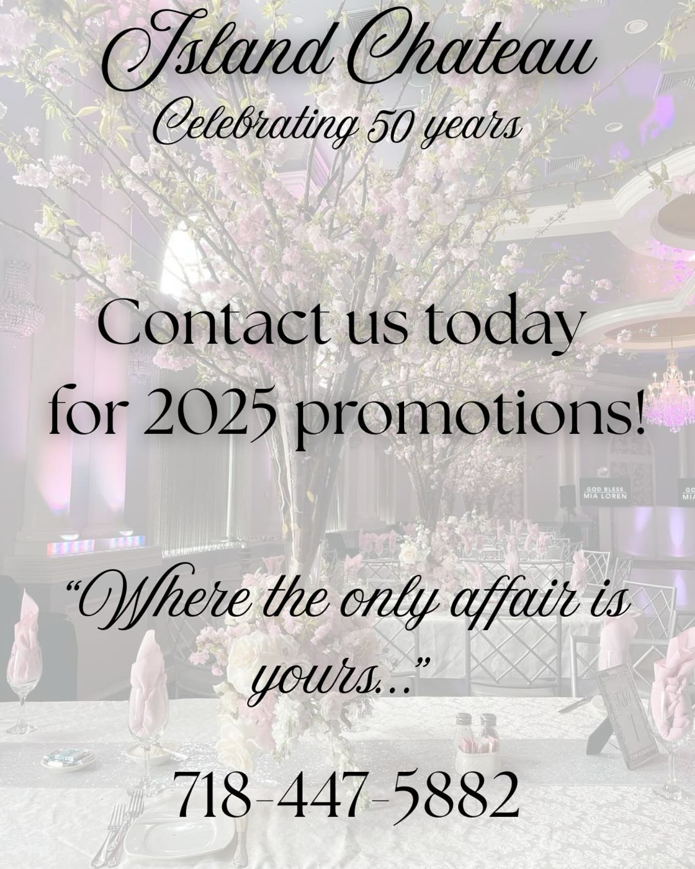Look no further for a venue that can do it all for your next celebration. Contact us today for our promotions for available 2025 dates!
📞718-447-5882
📧islandchateau@gmail@com