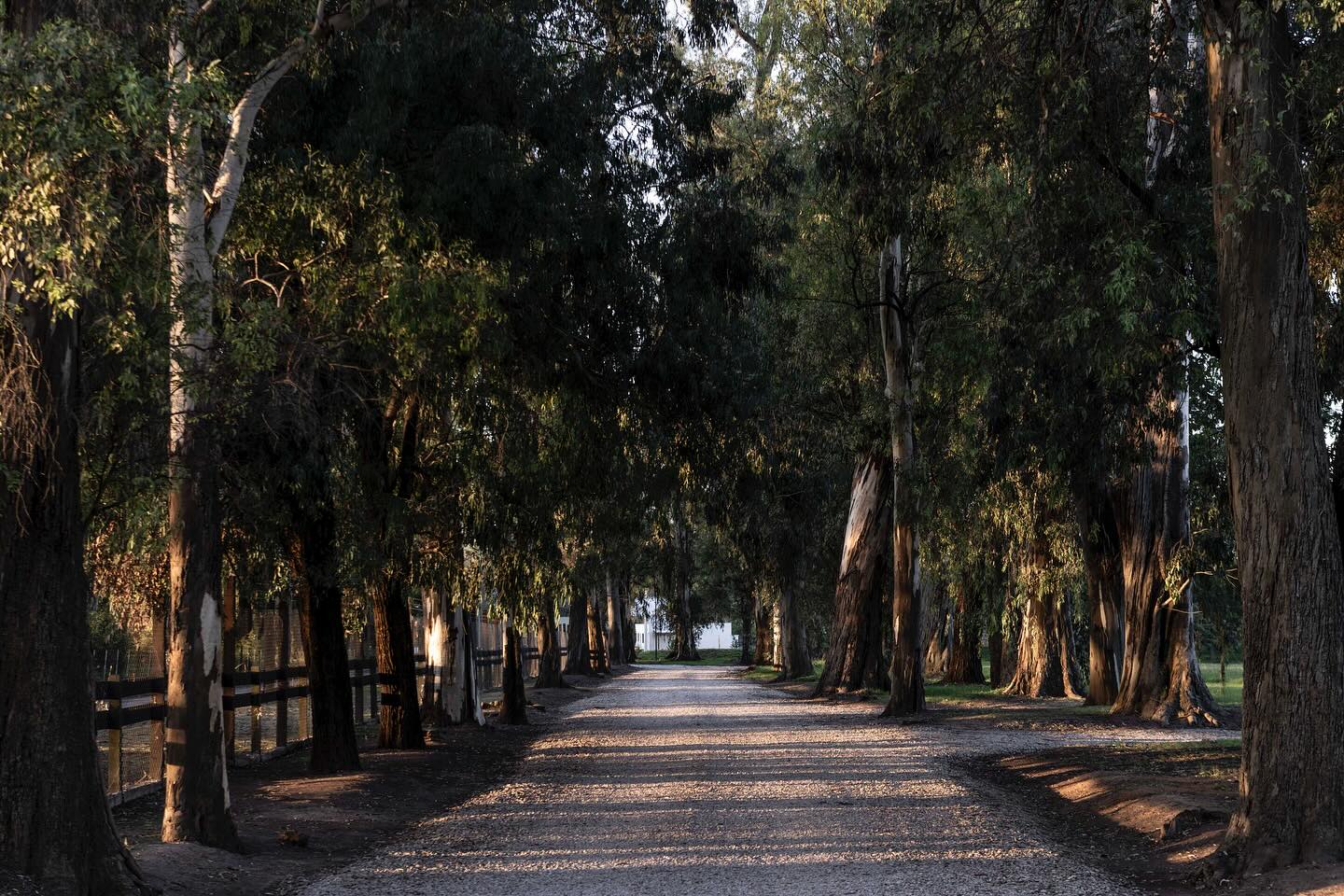 En ALDEA, desarrollamos barrios, donde la ética y el esfuerzo diario son hoy: una Realidad. Quienes nos han elegido, comparten estos valores, y nos acompañan ... queremos un ciudad bella, sabemos hacerla, contribuimos a esto.
Tu Lote ALDEA, es posible y está cerca tuyo. 👑⚜️🌲
