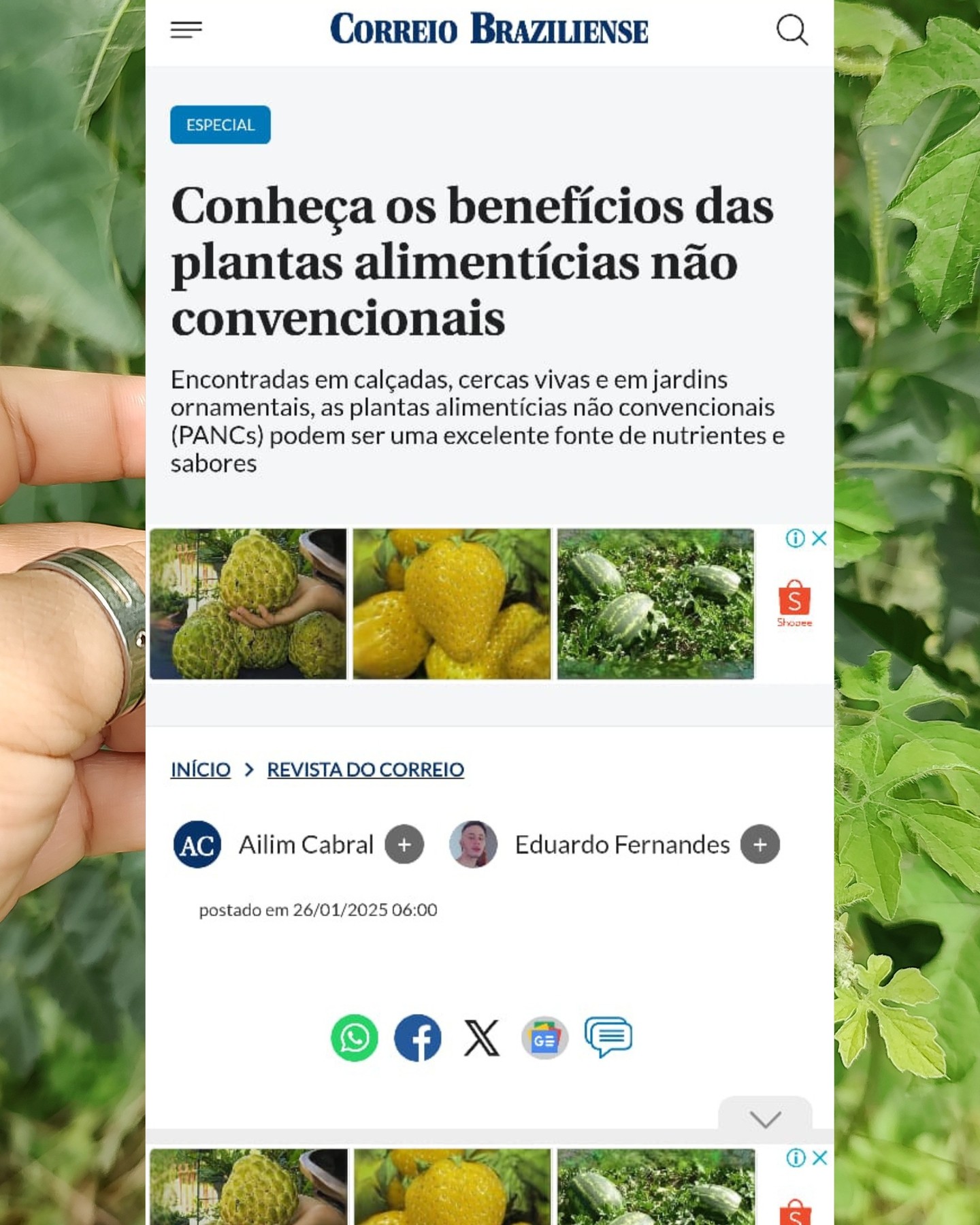 Adorei responder às perguntas desta matéria para a jornalista Ailim Cabral do @correio.braziliense
Para quem quiser ler na íntegra, segue o link: https://www.correiobraziliense.com.br/revista-do-correio/2025/01/7041301-conheca-os-beneficios-das-plantas-alimenticias-nao-convencionais.html