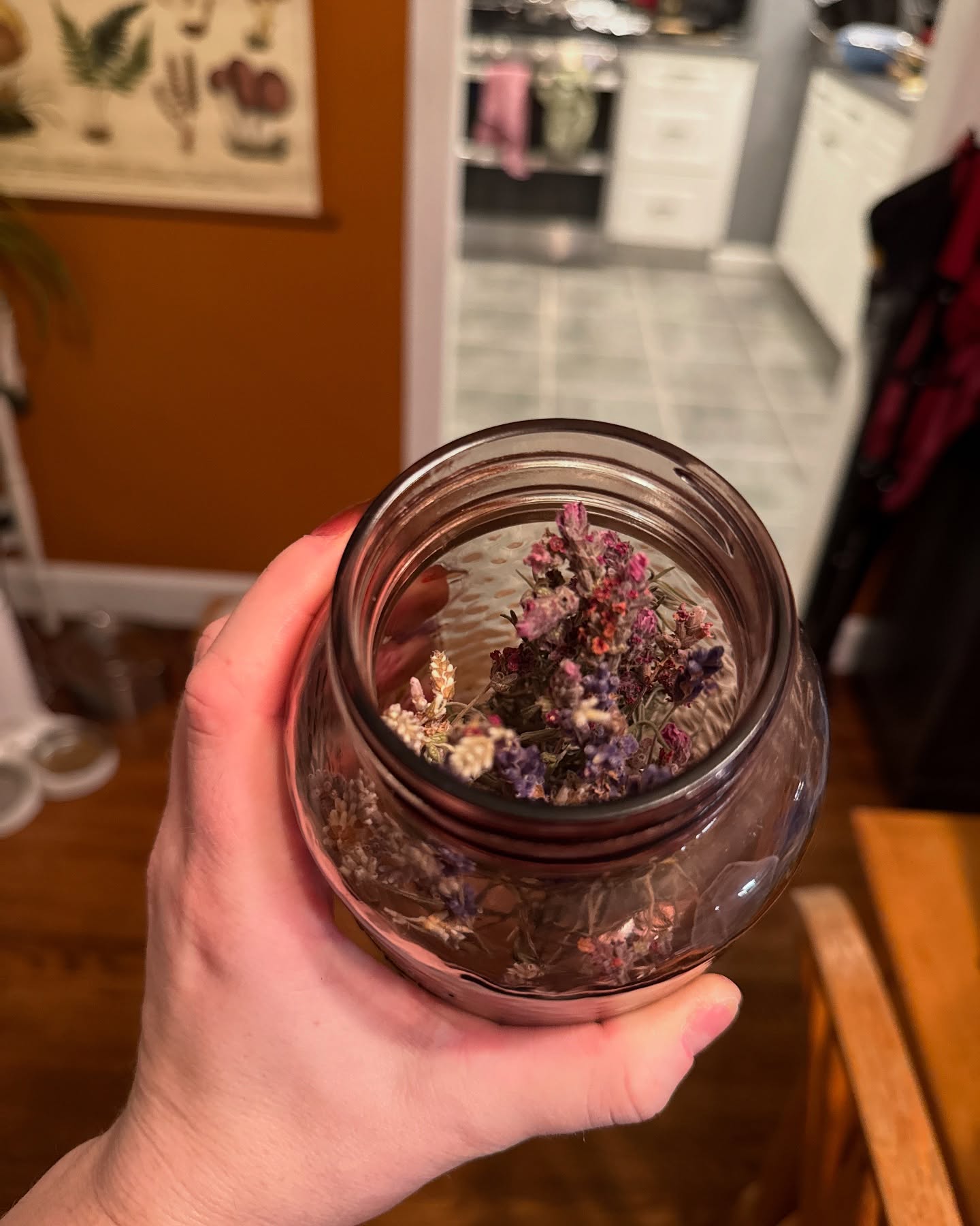 POV: When your bff gives you a plethora of herbs!!!
I am simply in LOVE with this pink lavender. I can’t wait to plant some in my tea garden this spring!!