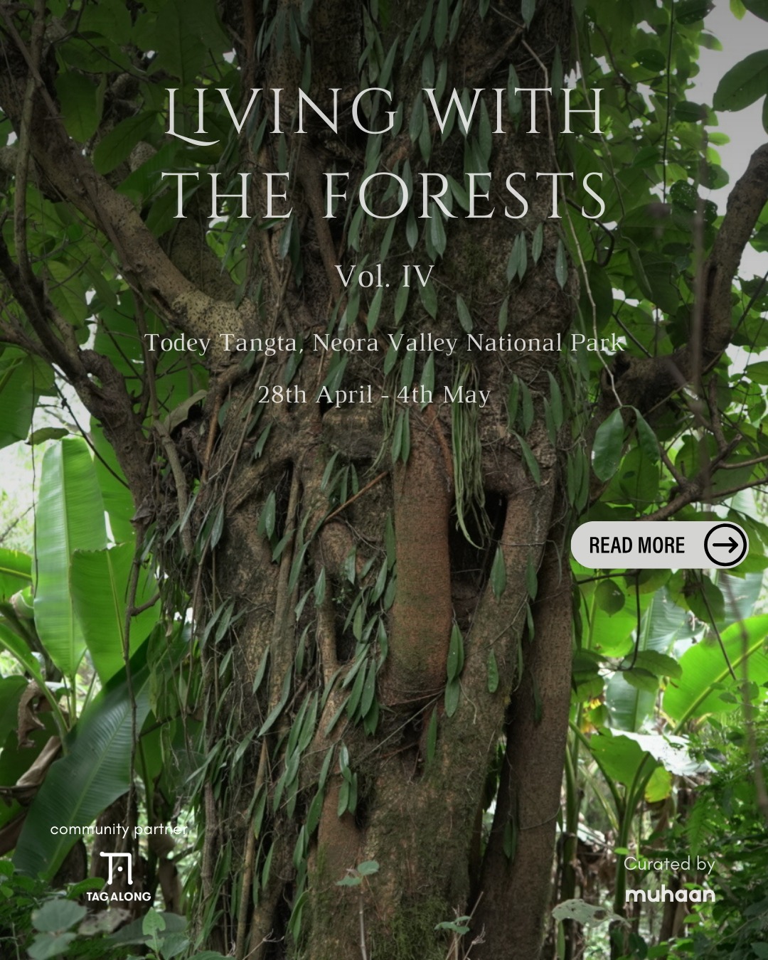 Join us from April 28 – May 4, 2025, for an immersive journey into the forests and cultures of Todey-Tangta, the last village of Kalimpong on the fringes of Neora Valley National Park.
This multi-disciplinary program offers a rare chance to learn from forest communities, their ecological wisdom, traditional knowledge systems, and sustainable livelihood practices. Engage with artisans, storytellers, healers, and conservationists, and explore untamed forests, hidden waterfalls, and ancient trails.
Where? Todey-Tangta, Indo-Bhutan border
When? April 28 – May 4, 2025
Who can join? Open to all – professionals, researchers, and nature enthusiasts
How to register? Fill out the application form in the brochure
Step into a world where forests are not just landscapes but living archives of knowledge.
#LivingWithTheForests #TodeyTangta #CommunityTourism #IndigenousKnowledge #NeoraValley #SustainableLiving