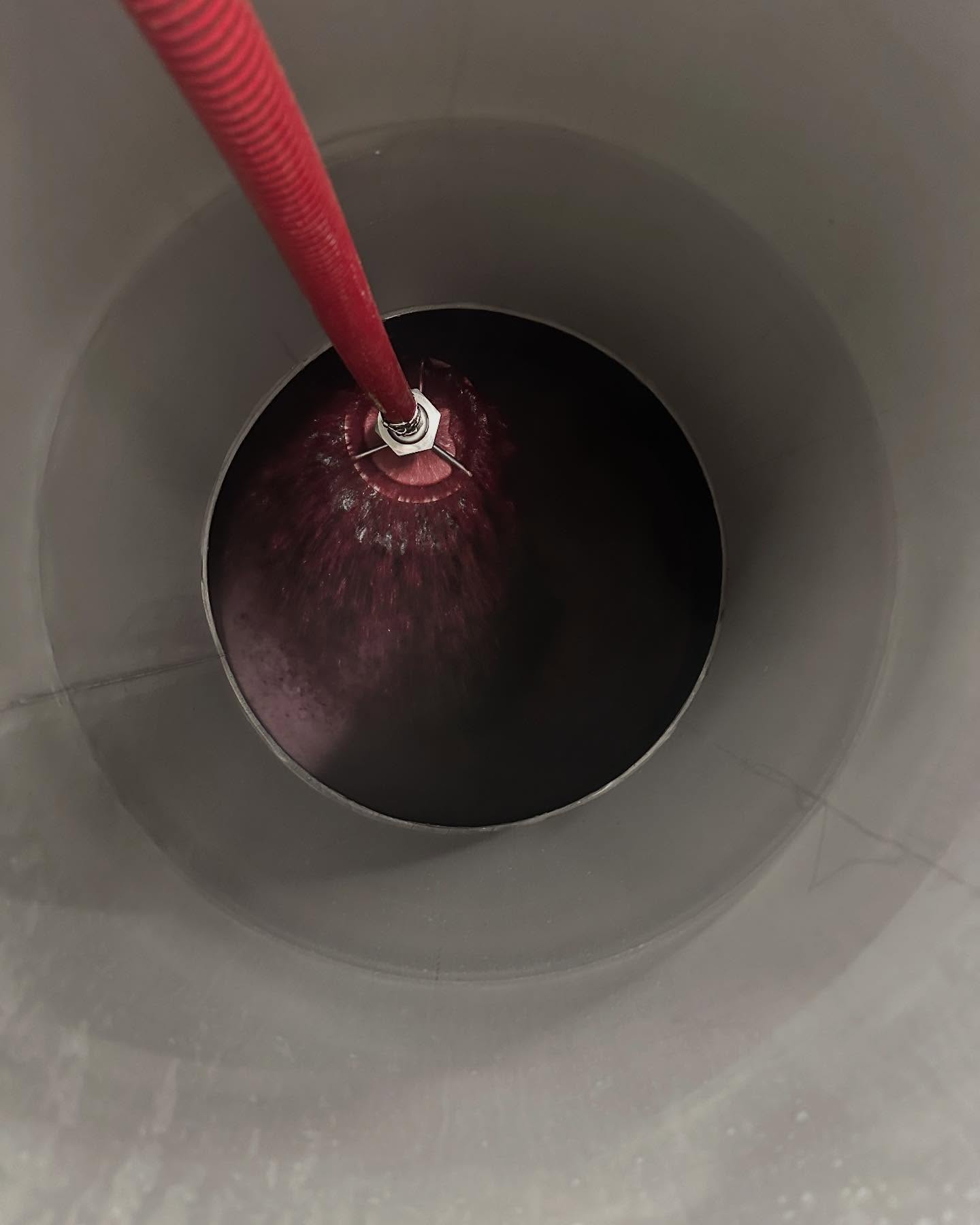 Just giving the Nebb some air. @dentonwine