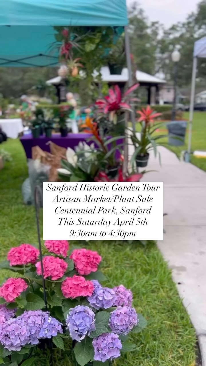 Explore more than just gardens! 🌿💕Our Artisan Market & Plant Sale in Centennial Park (400 S. Park Ave.) is open to all from 9:30 AM – 4:30 PM.
A special shoutout to our Title Sponsor, @townsgardencenter. Can’t wait to see you all in the gardens on Saturday!
Stop by to shop unique local goods and greenery—even if you’re not attending the tour!
#SupportLocal #SanfordHistoricGardenTour #GardenInspiration #market #artisanmarket #plantsale #HistoricSanford #centralfl #spring #orlandofl #orlandolocal #orlandolife #sanfording #zone9b #gardening #plantlovers #greenthumb #garden #gardentour #gardendesign #homeandgarden