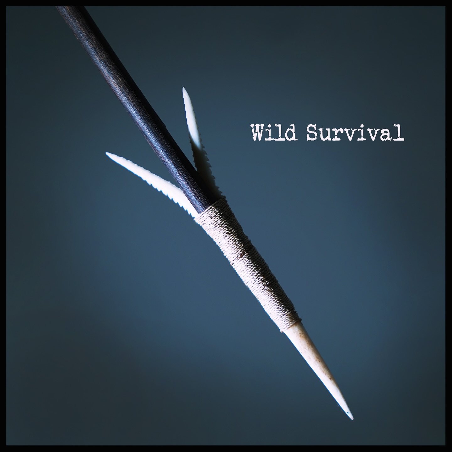 A fish arrow I made from black palm, whale bone, snake plant cord, and Congolese catfish dorsal spikes for barbs. This arrow will travel into a fish like a harpoon and the barbs will hold it on the line.
#survival #primitiveskills #primitivetechnology #bushcraft #fishing #wildsurvival #primitivefishing
