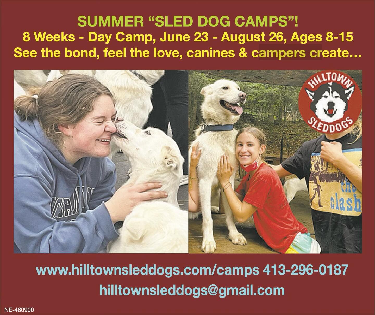 SLED DOG CAMPS 2025! Still room…A summer like no other:) #hilltownsleddogscamps #sleddogcamp #kidsndogs #lovemydogs