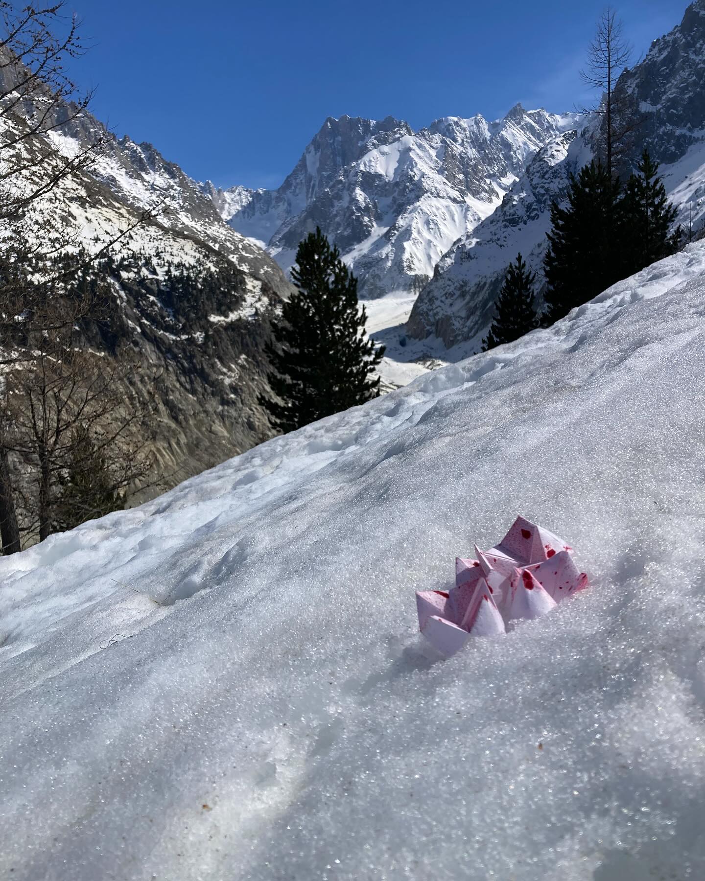 Origami print inspired by red algae , ‘Sang du Glacier’. The algae blooms on snow and ice, it turns red to protect itself from free radicals, and I thought it was UV light! #redalgae#origami#pleinairartist