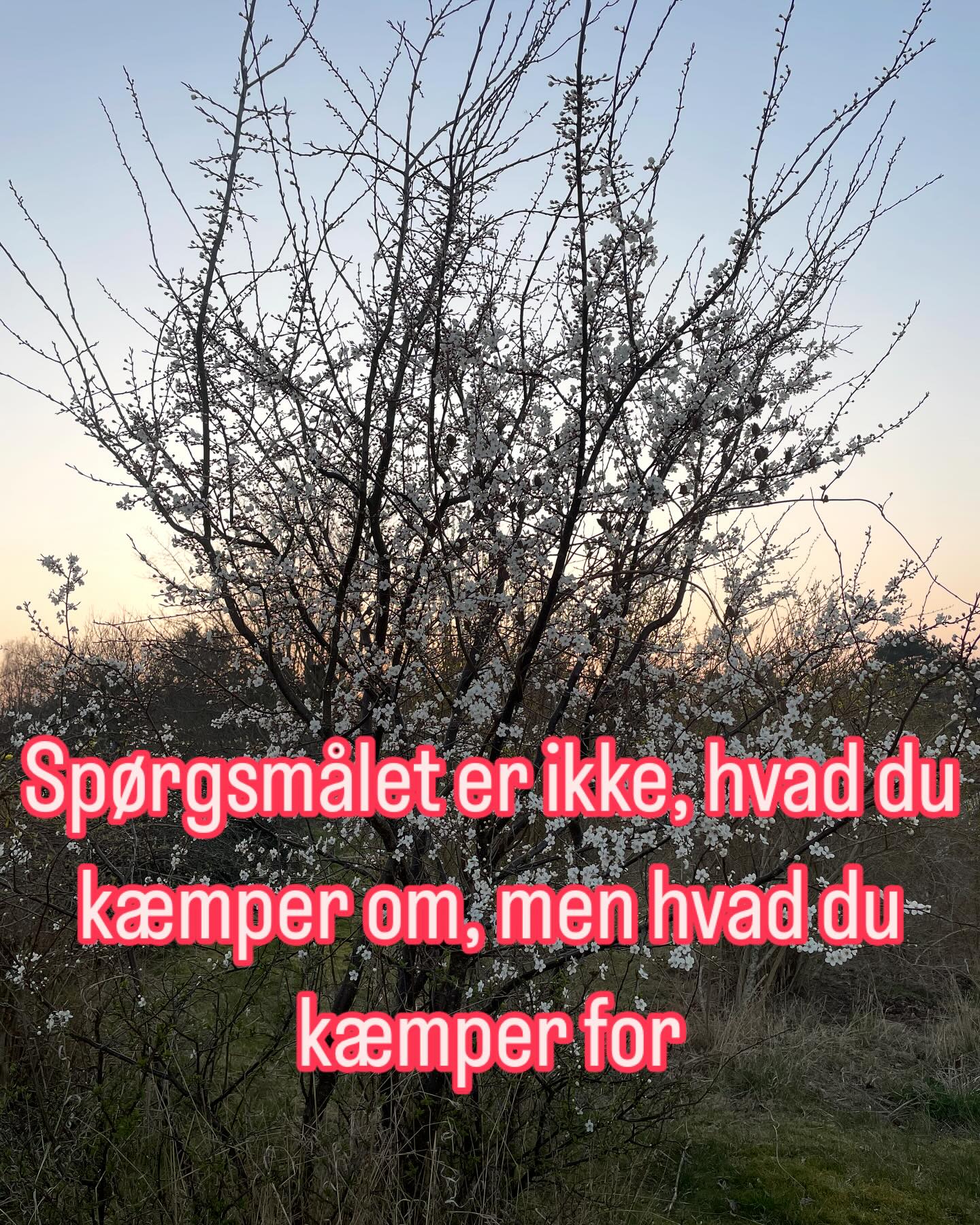 Bagved kampen om noget, en given diskussion eller uoverensstemmelse er der en kamp for noget helt andet. Det er ofte det, der kæmpes for.
Det kan være retten til at være til - eksistensberettigelsen - eller retten til at blive hørt. Måske er det retten til at have egne grænser eller noget helt andet. Oftest er denne kamp for noget startet for længe siden.