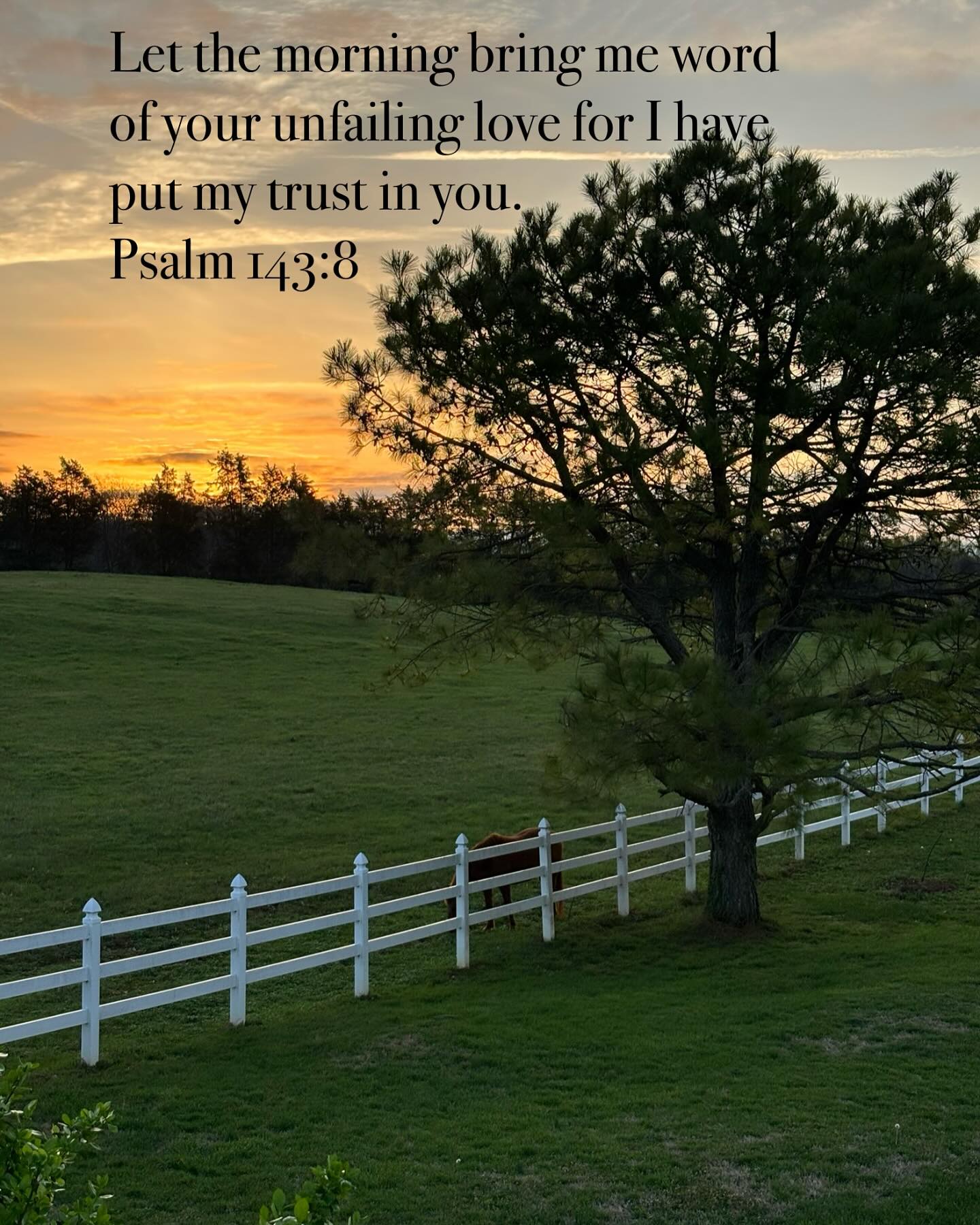 Every morning we get another chance to see the beauty, to be thankful, to lay all we need before Him and look to the only One who can untangle all our messes. Everyday He brings blessings if we don’t miss it. I pray your blessings outweigh your sorrows. And that everyday brings hope and joy in good measure. I love the sunrise on my walks.