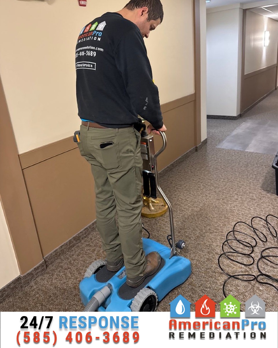 💧🚨 Water-Soaked Carpet? We Bring in the Rover.
When carpets are drenched from water damage, time is critical — and so is the right equipment. At American Pro Remediation, we use a powerful mobile extraction tool called a Rover to remove water deep from carpets and padding with speed and precision.
The Rover isn’t your average piece of gear — it’s a ride-on, weighted extraction unit that uses the operator’s weight and powerful suction to pull water up from all layers of the carpet system. It allows us to:
✔️ Extract water more thoroughly than standard tools
✔️ Cover large commercial or residential areas quickly
✔️ Save carpets and reduce the need for tear-out
Paired with our drying equipment, the Rover helps us stop damage in its tracks and bring your floors back to life — fast. 🏠💨
📞 Got soaked carpet? Call 585-406-3689 — we’ll bring the Rover.
#AmericanProRemediation
#WaterExtraction
#RoverExtraction
#CarpetDrying
#WaterDamageRestoration
#DisasterRecovery
#MoldPrevention
#WeRestorePeace