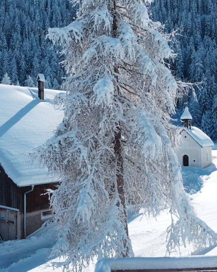 Februar - danke für so viel Sonnenschein und feinsten Schnee 👐🤍
.
.
.
#february #snowwhite #mountianview #winterinthemountains #winterholidays #winterparadise #visittirol #urlaubambauernhof #naudersunddu