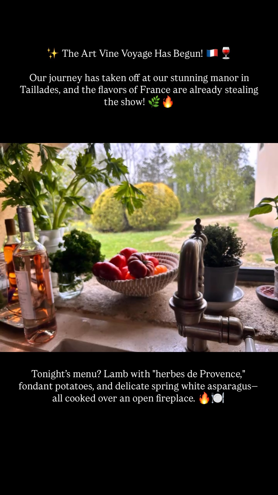 ✨ The Art Vine Voyage Has Begun! 🇫🇷🍷
Our journey has taken off at our stunning manor in Taillades, and the flavors of France are already stealing the show! 🌿🔥
Chef Julien has crafted a feast that’s as gorgeous as it is delicious—starting with radishes & salted butter, ashy goat cheese, and a feta beet spread with homemade rosemary crackers. 😍
Tonight’s menu? Lamb with “herbes de Provence,” fondant potatoes, and delicate spring white asparagus—all cooked over an open fireplace. 🔥🍽️
France is meant to be savored—the flavors, the atmosphere, and the people. We’re beyond grateful to share this incredible experience with all of you! 💛✨
#artvinevoyage #SavorFrance #FrenchGastronomy #provencevibes🌿☘️☀️ #FoodieTravel #openfirecooking