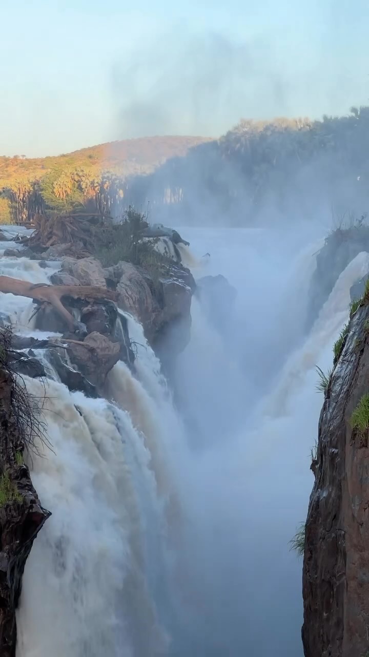 NAMIBIA’S DREAMS 🌧️
The presence of water in the desert will make anyone happy, so much potential comes with rainfall 😍
📍Epupa Falls, Kaokoland
#namibia #waterfall #desert #travelnamibia #idreamnamibia
