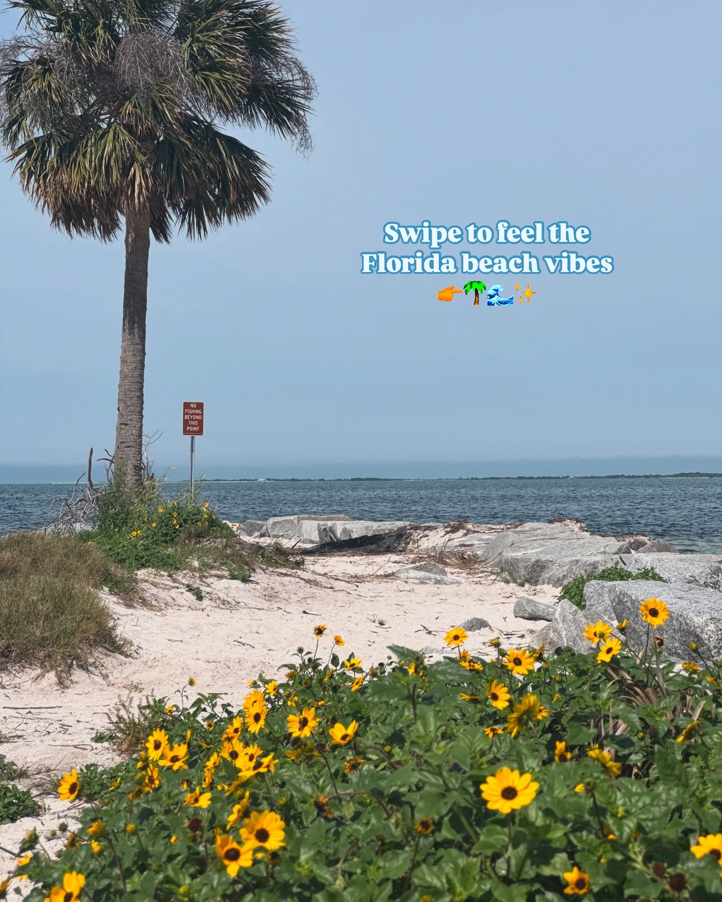 Bringing the beach adventure to life ✨
It was the perfect morning for an iced coffee, and a lil walk at Fred Howard Beach
✨🌴🌊☕️
•
•
•
•
#visitflorida #floridabeaches #lovefl #floridagetaway