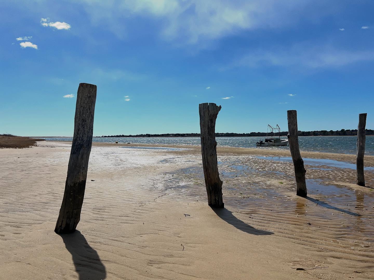 Spring beach walks ☀️