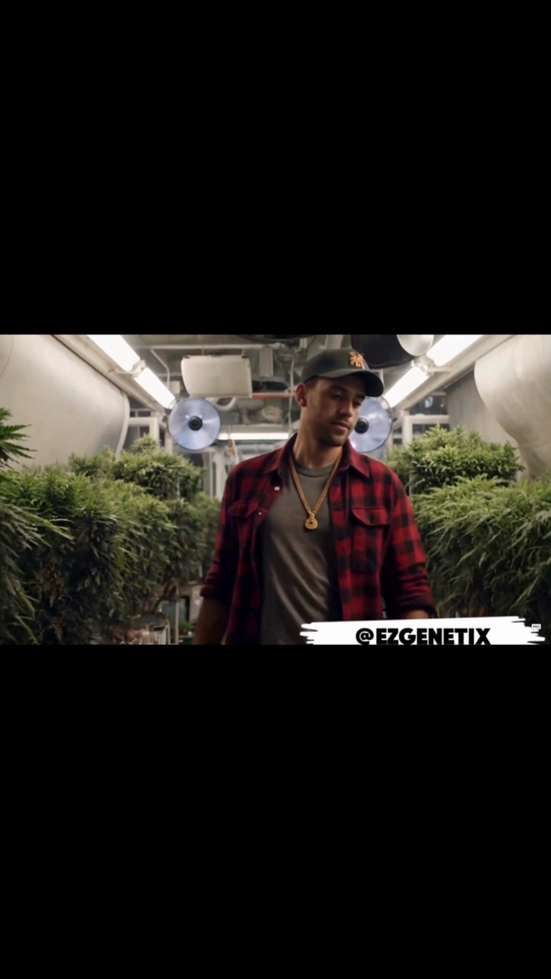 Welcome to the future of cannabis—where passion meets perfection, and every plant is grown with purpose. At Ez Genetix, we’re more than just genetics—we’re a vibe, a lifestyle, and a movement. Let’s grow this journey together. #EzGenetix
#GrowYourVibe
#PlantBasedVibe
#WeedCulture
#ThePlugLife
#CultivateJoy
#HighEndCannabis
#FireGenetics
#VibeWithUs
#GrowWithPurpose
#CannabisCommunity
#LuxuryCannabis
#WeedAndMusic
#SmokeWithStyle
#CraftedToPerfection
#VibeAndThrive
#TheGrowRoomVibe
#LiveTheVibe
#WeedWithRhythm
#HighLifeLiving
#PuffAndPlay
#ChillAndGrow
#CannabisCulture
#GanjaVibes
#LuxuryLife
#420