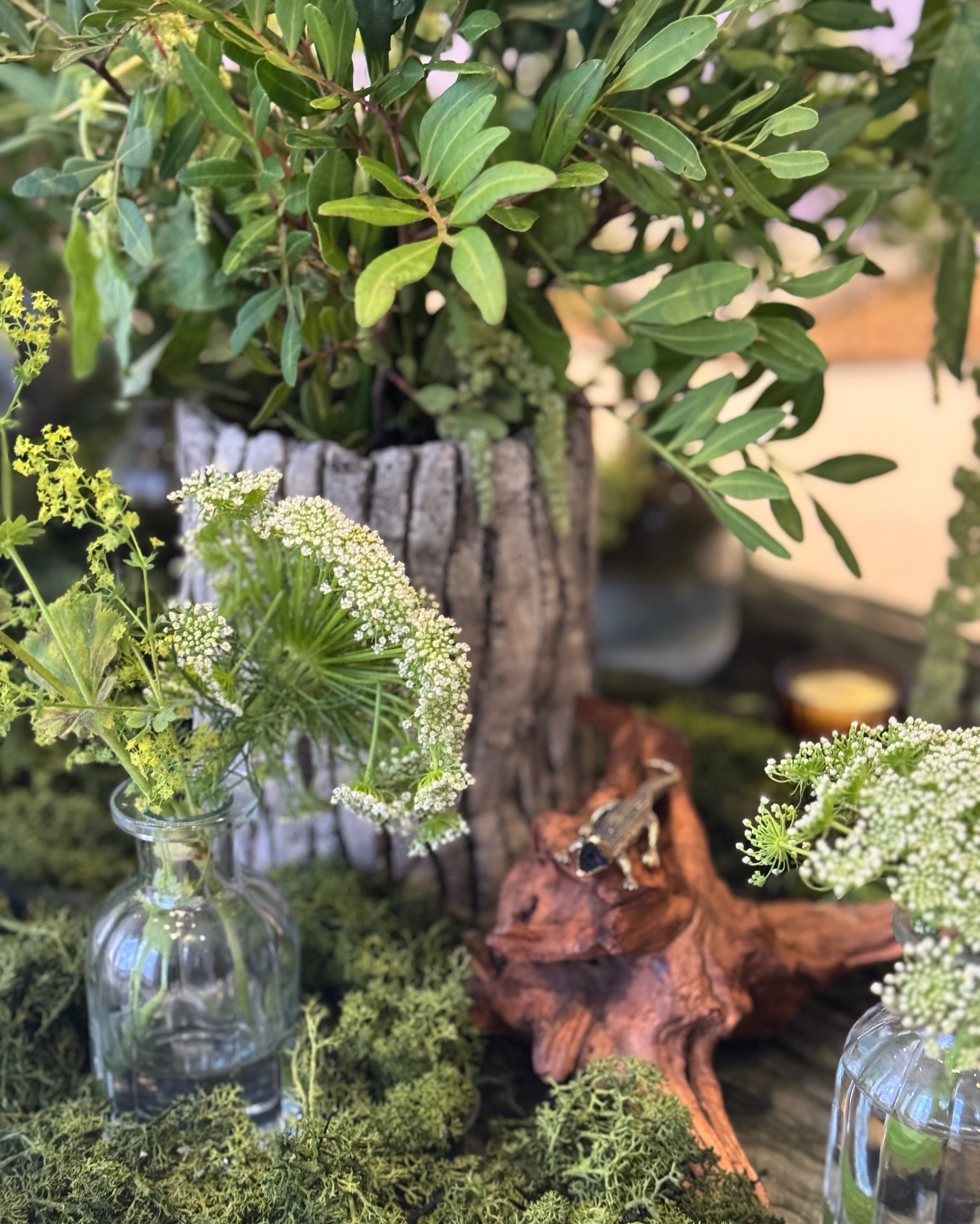 It’s all in the details! ✨ Rustic driftwood, textured stone vases, draped greenery, soft florals, and touches of moss created the perfect balance of raw and elegant. And of course, a little croc had to make an appearance! 🐊 It’s these thoughtful details that turn a theme into an experience. Who knew a swamp theme could be this stylish?
Restaurant @gauthierinsoho
Event planner @threelittlebirdseventsltd
#CushteTablescapes #SwampMeetsSophistication #babyshower #privatedining #tablescaping